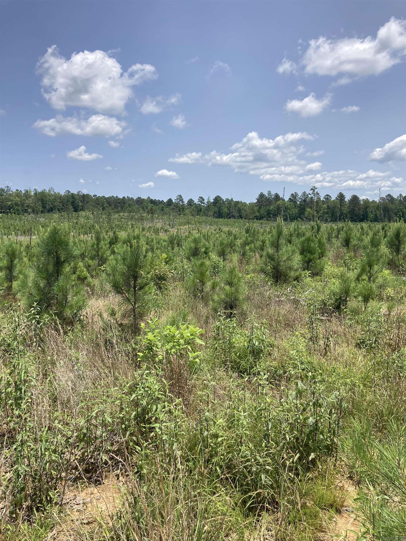 1400 BLOCK OF Beaudry  Jessieville, AR