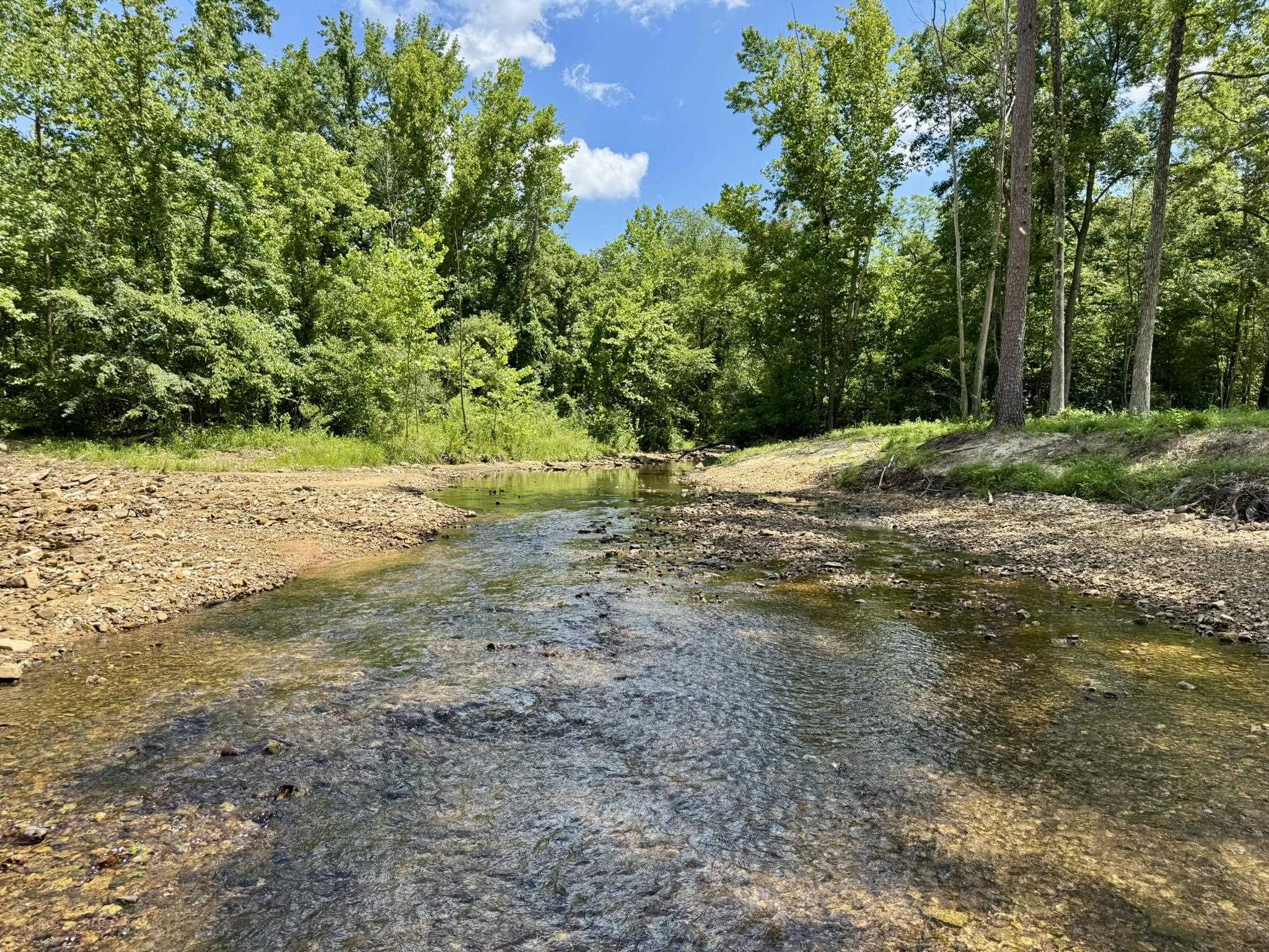 0000 Rose Trail  Melbourne, AR