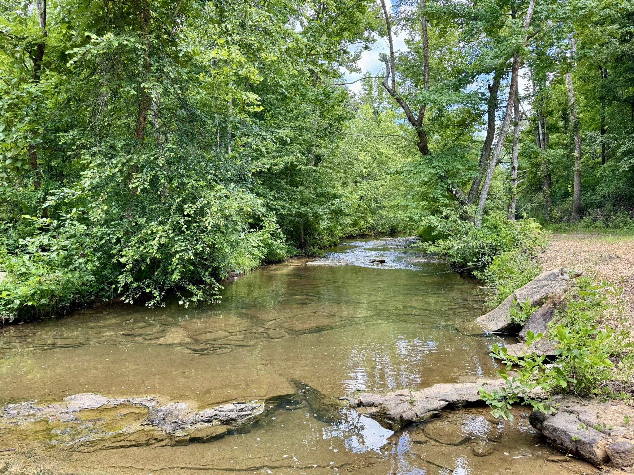 0000 Rose Trail  Melbourne, AR