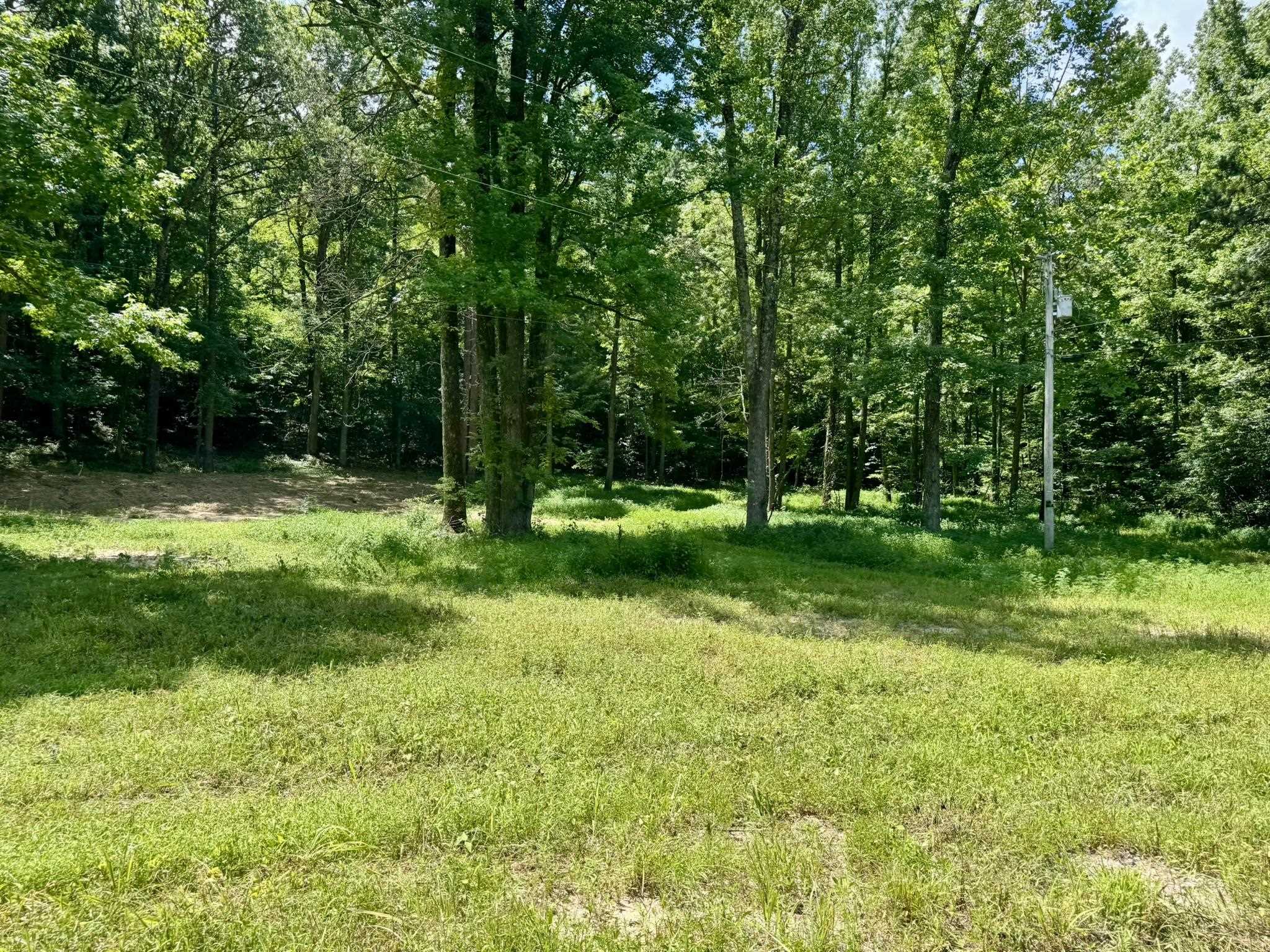 0000 Rose Trail  Melbourne, AR