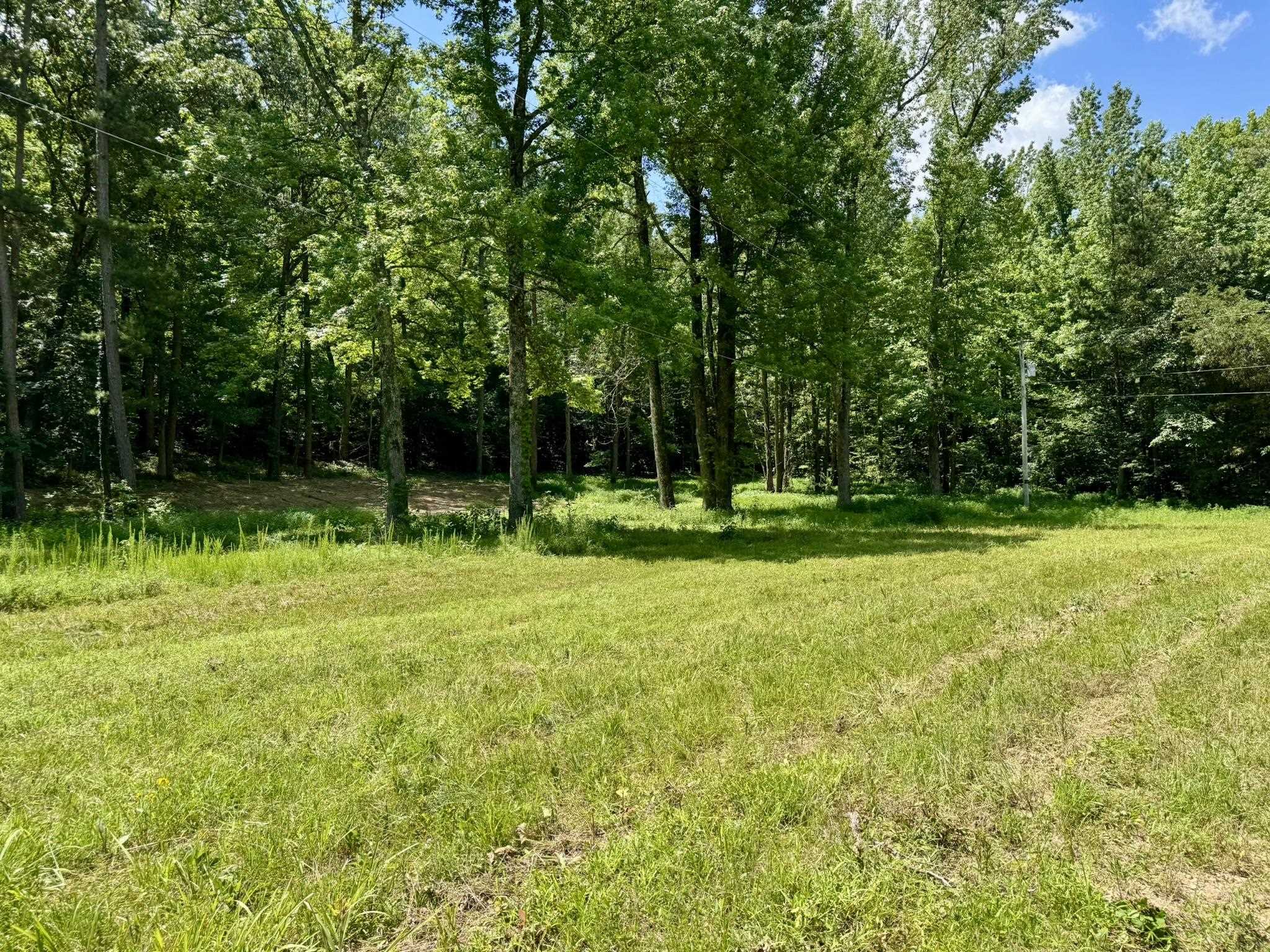 0000 Rose Trail  Melbourne, AR