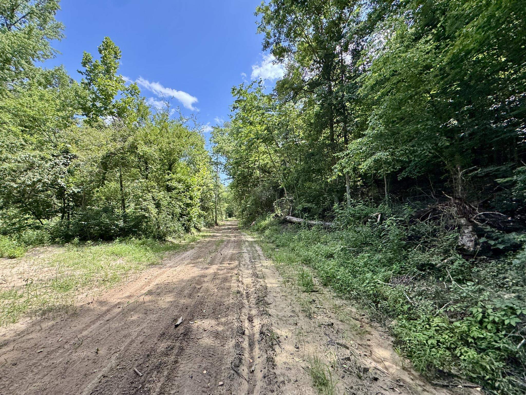 0000 Rose Trail  Melbourne, AR