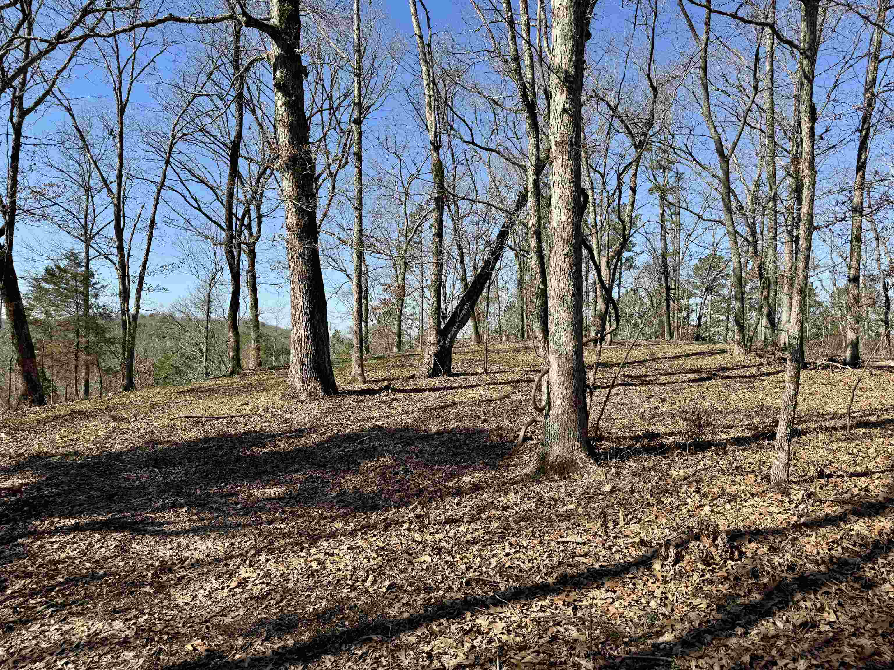 0000 Rose Trail  Melbourne, AR