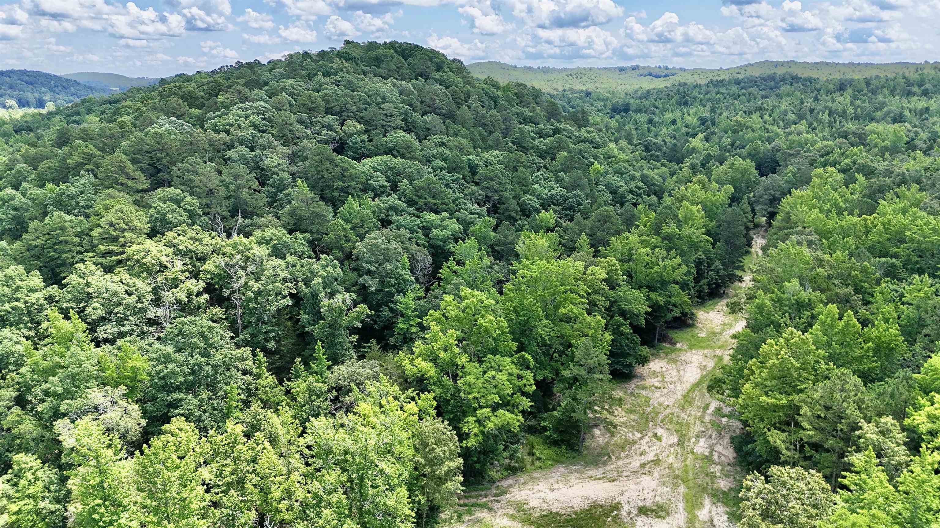 0000 Rose Trail  Melbourne, AR