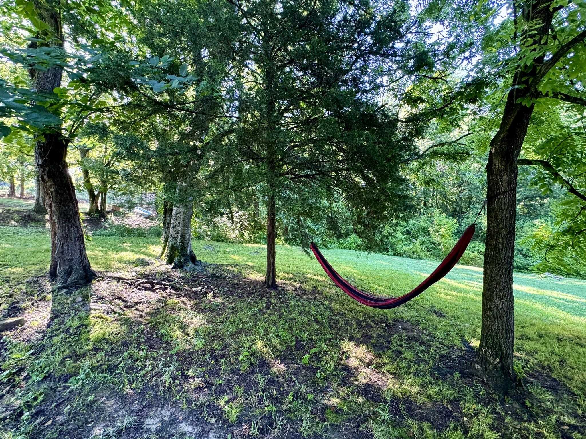 11186 W AR 58 HWY  Guion, AR