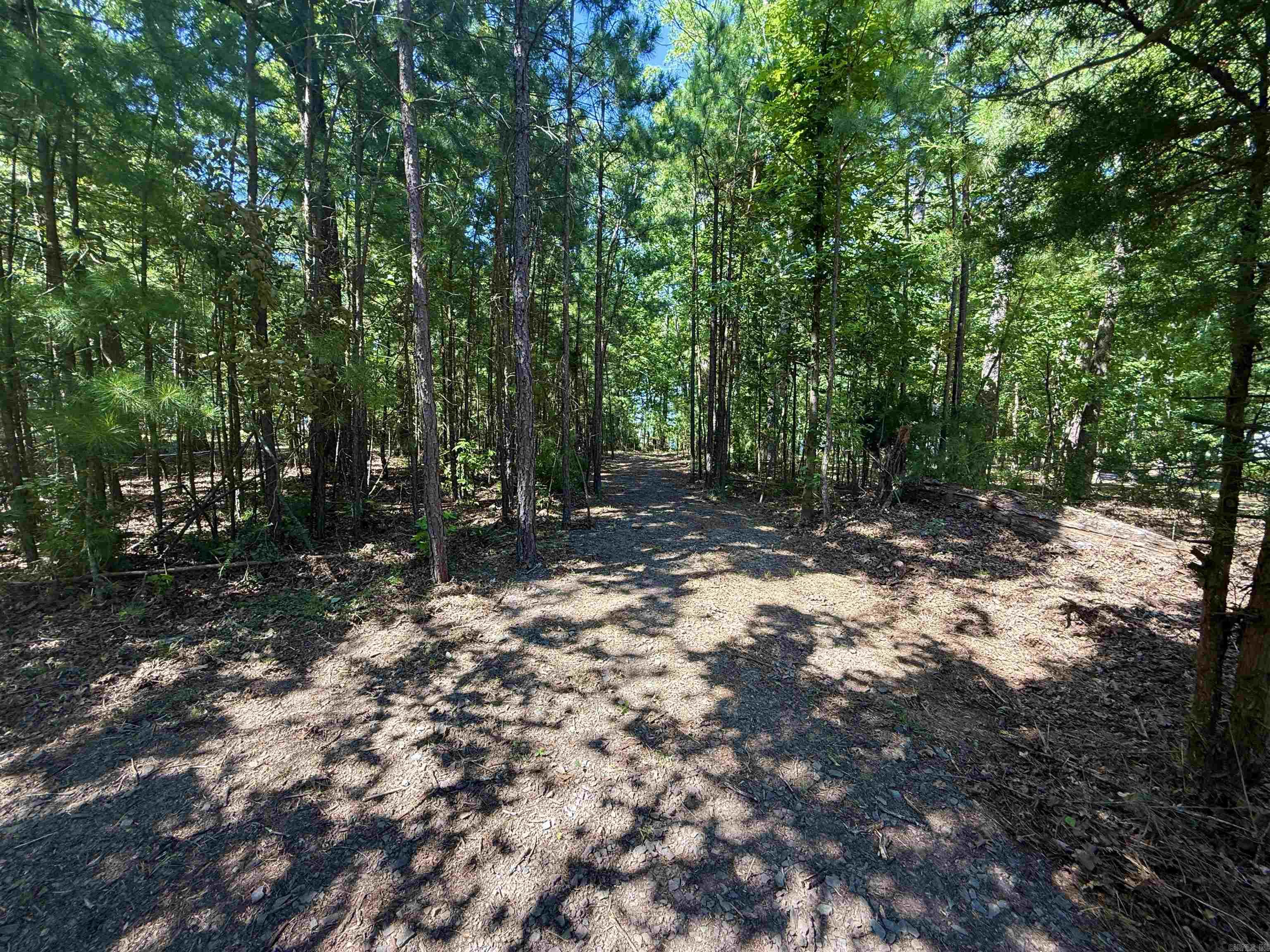 301 Watersedge Drive Edgemont, AR 72044