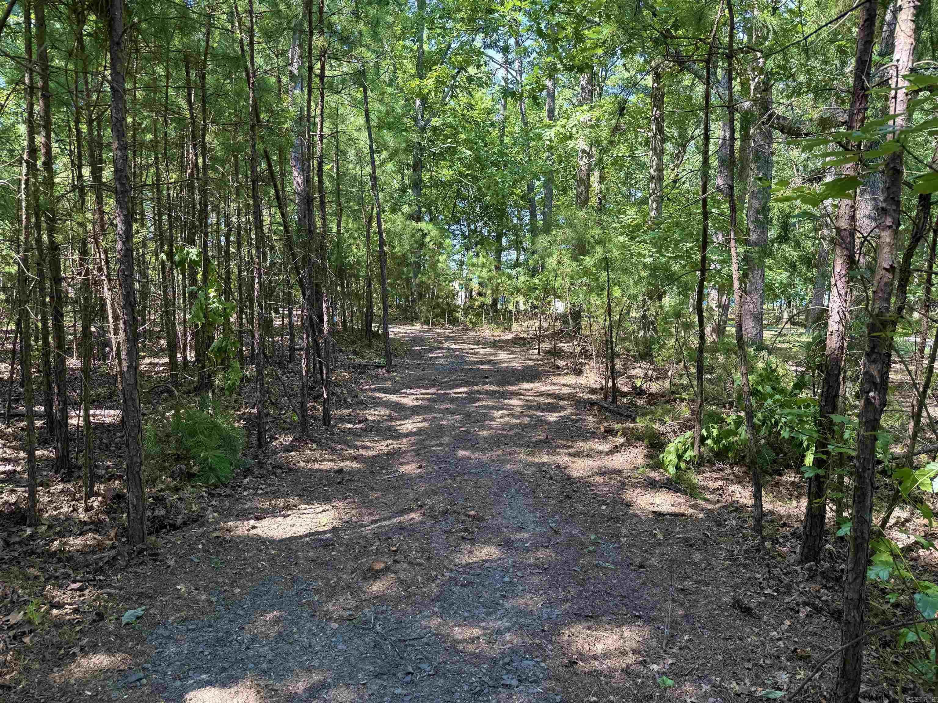 301 Watersedge Drive Edgemont, AR 72044