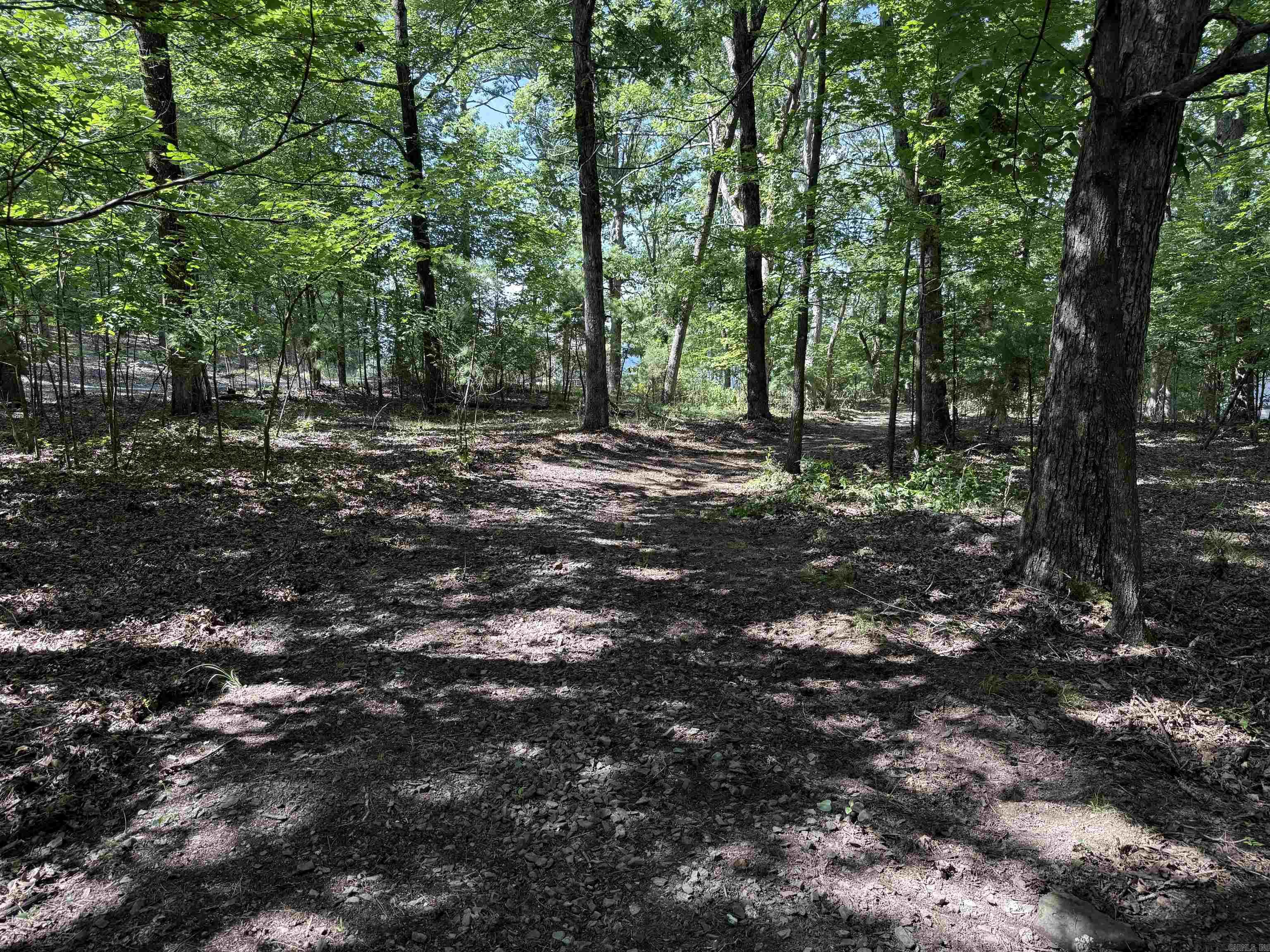 301 Watersedge Drive Edgemont, AR 72044