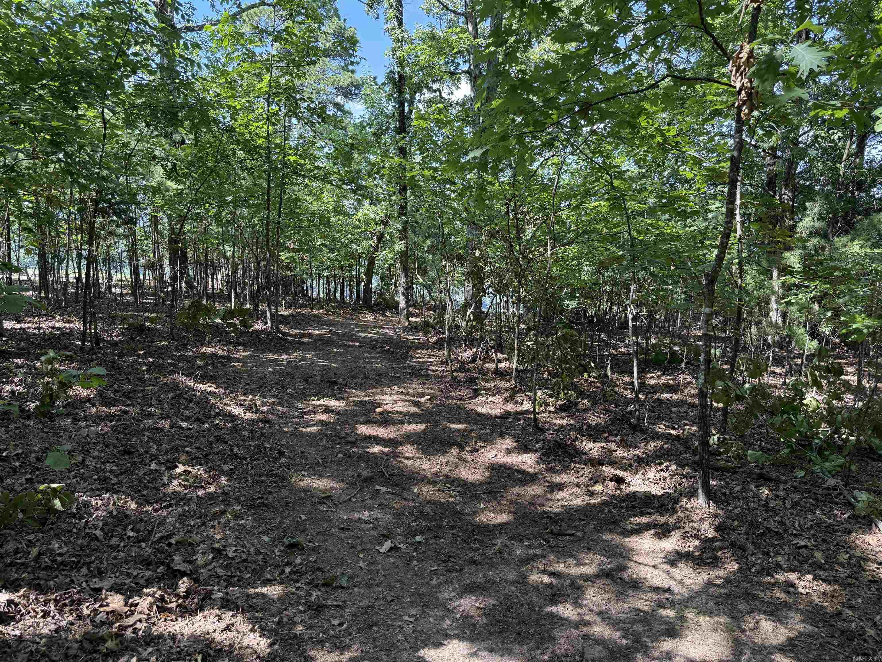 301 Watersedge Drive Edgemont, AR 72044
