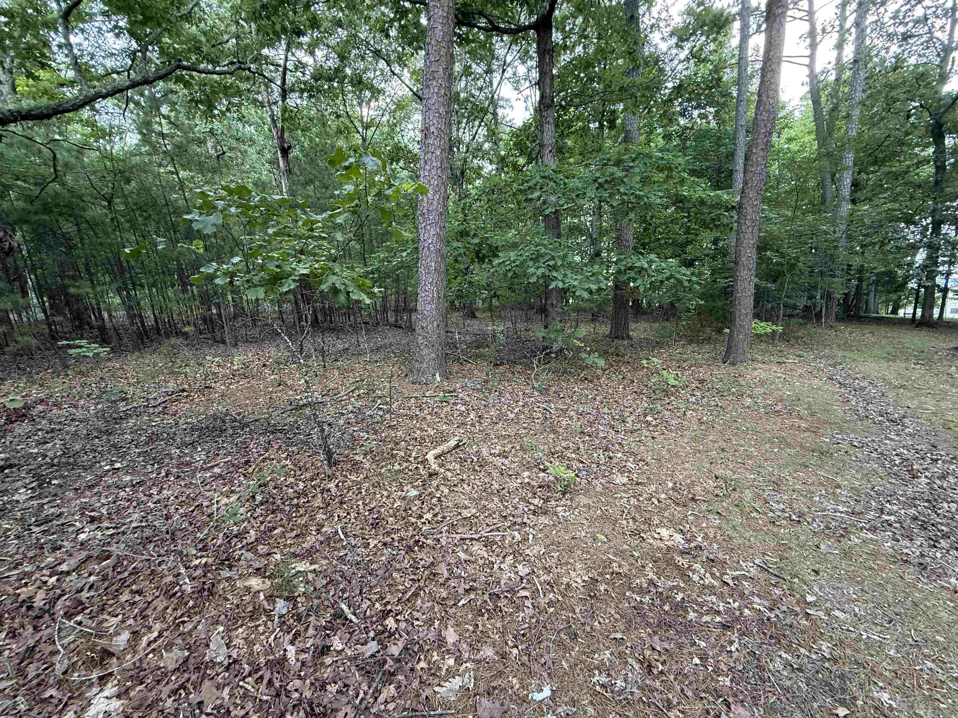 301 Watersedge Drive  Edgemont, AR