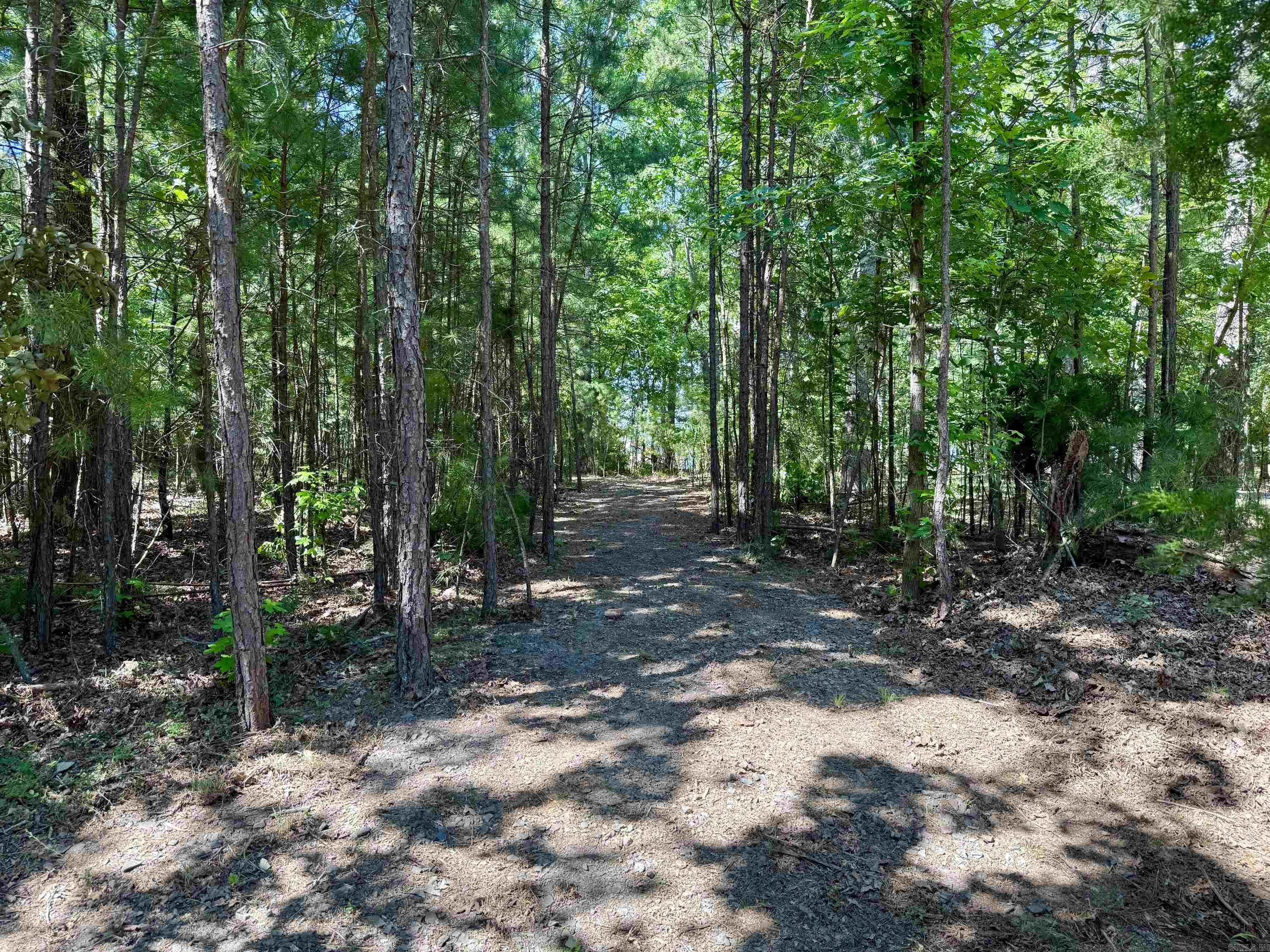 301 Watersedge Drive Edgemont, AR 72044