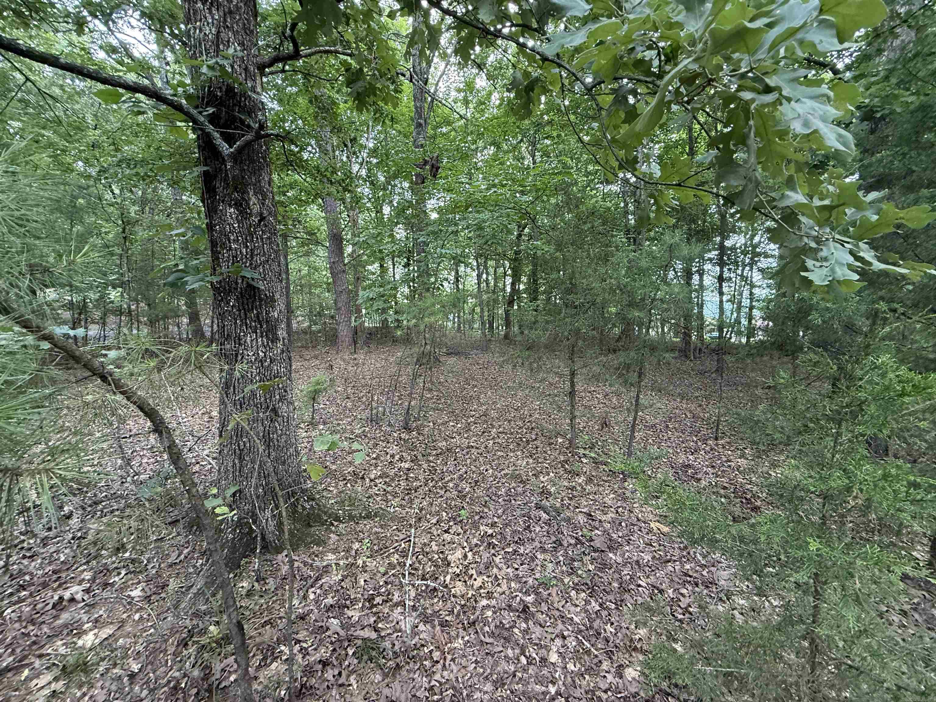 301 Watersedge Drive  Edgemont, AR
