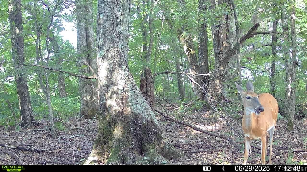 00 copeland rd  Crawfordsville, AR