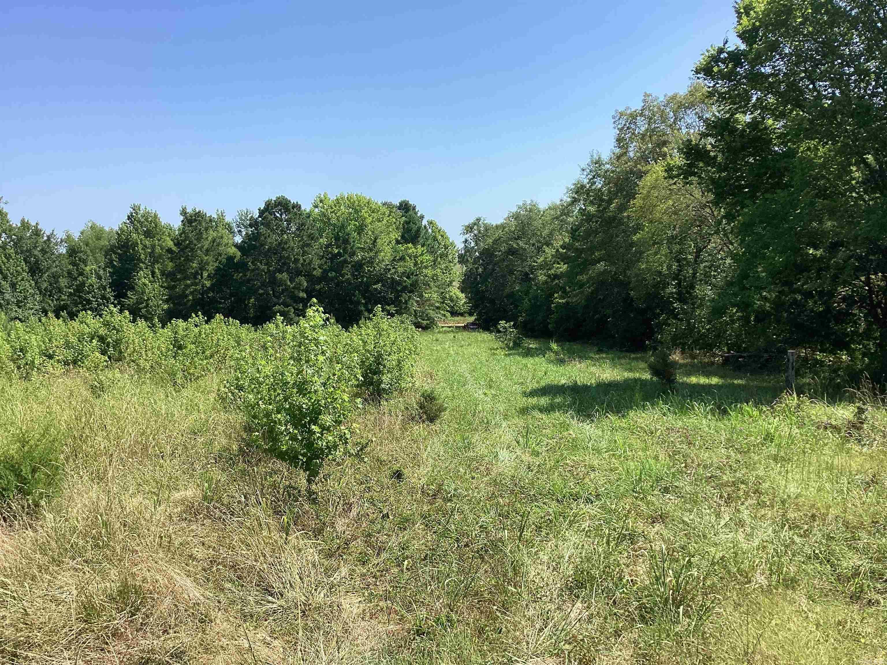 000 Hempstead 24  Blevins, AR