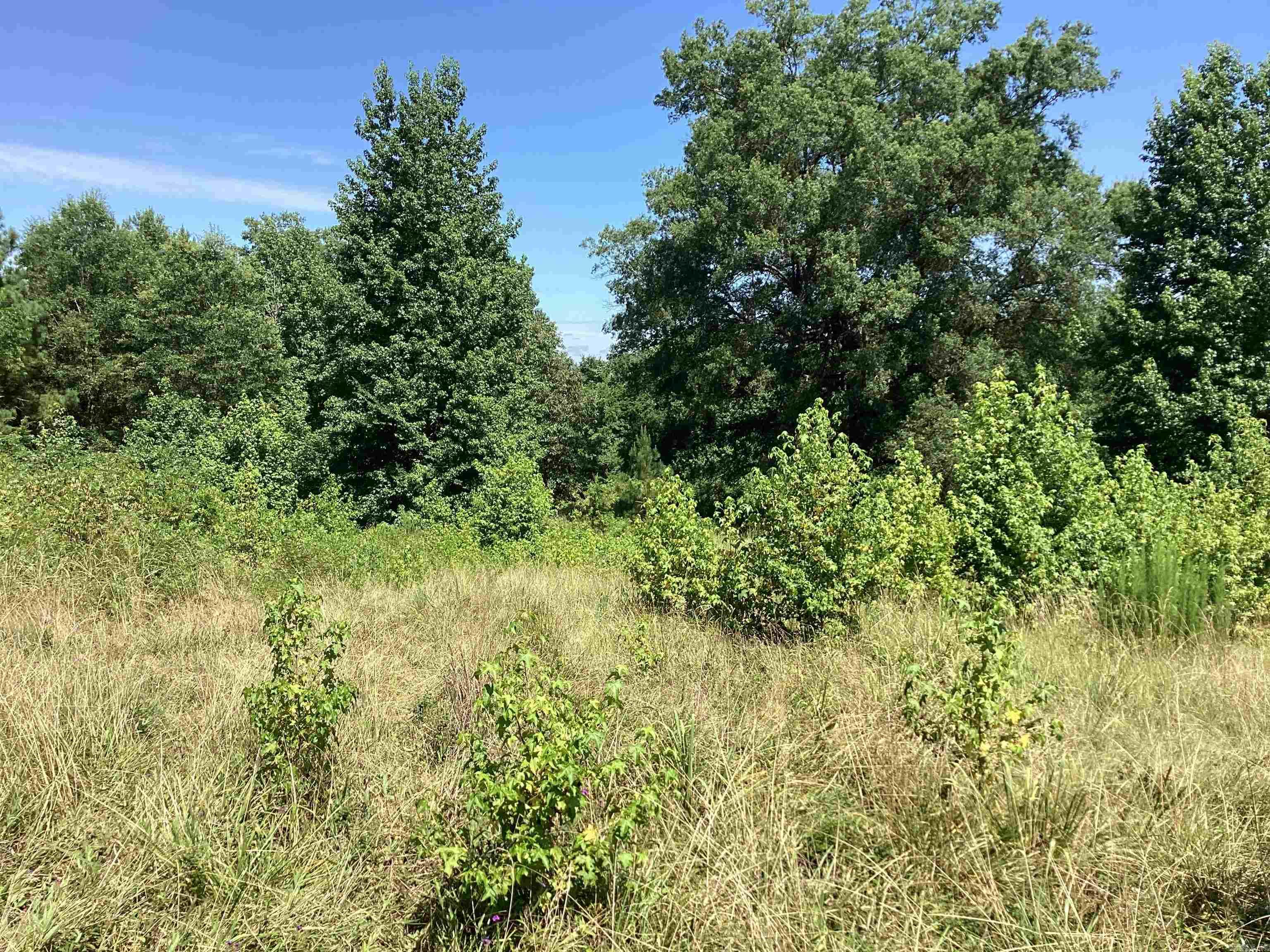 000 Hempstead 24  Blevins, AR