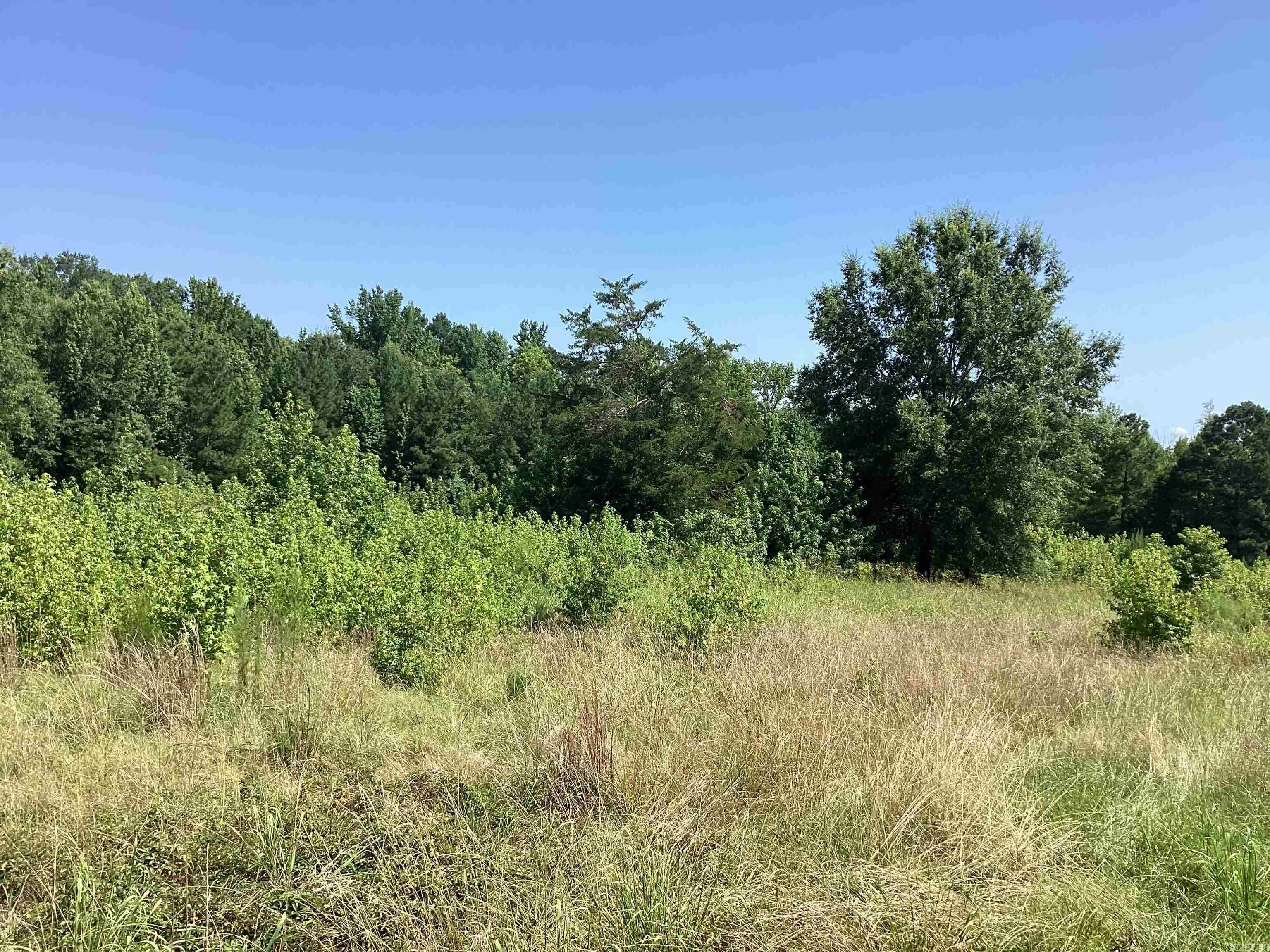 000 Hempstead 24  Blevins, AR