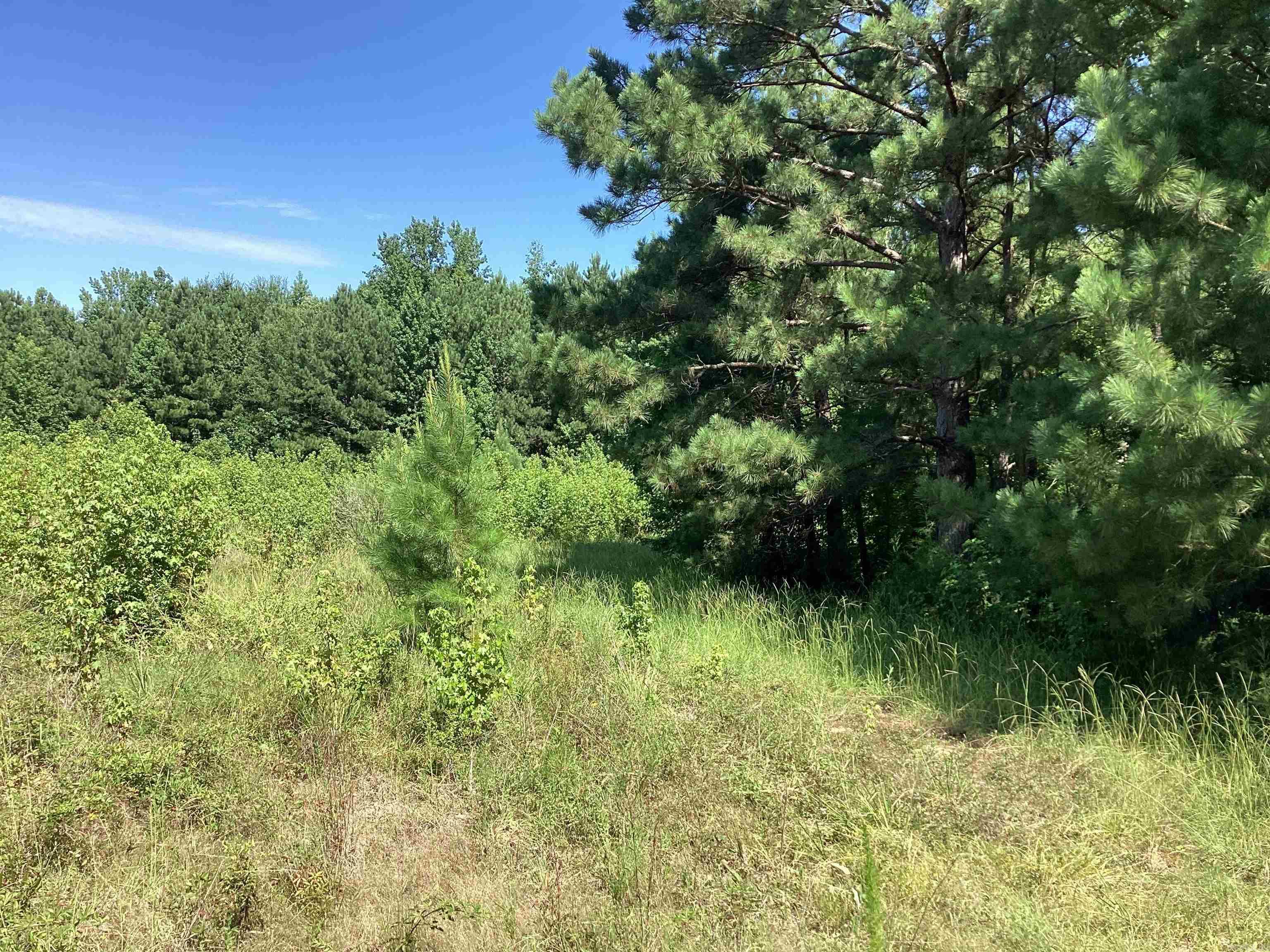 000 Hempstead 24  Blevins, AR