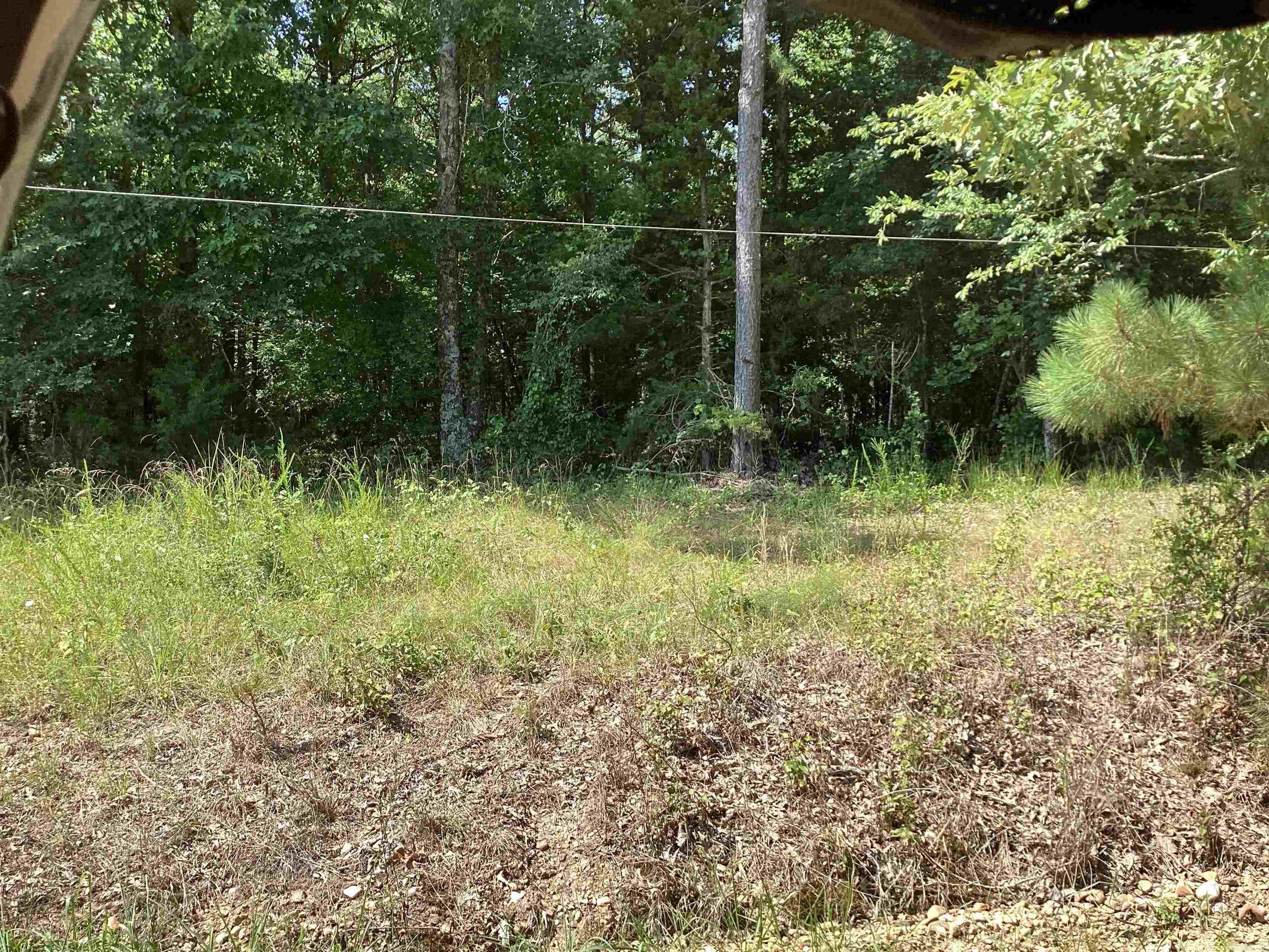 000 Hempstead 24  Blevins, AR