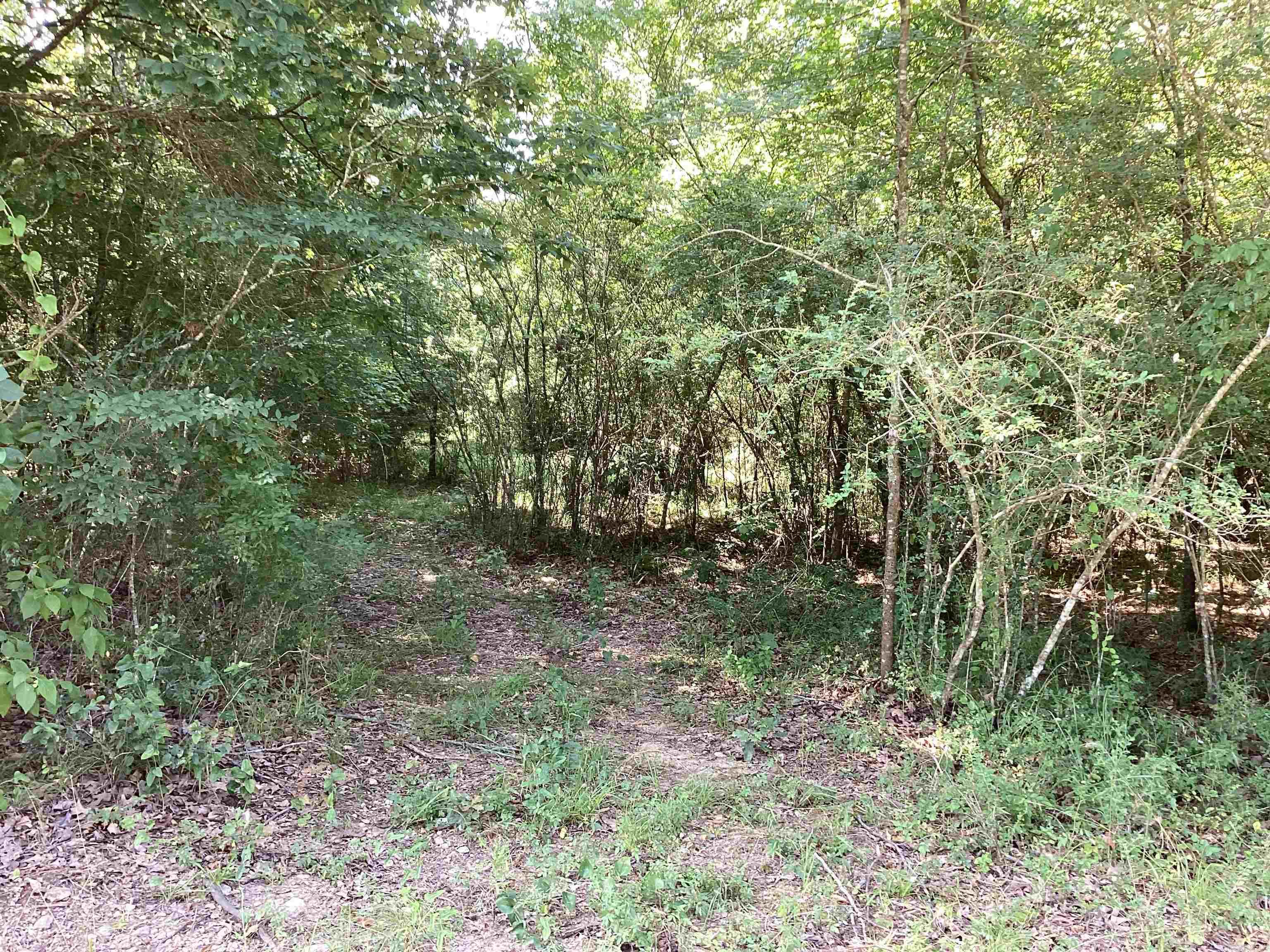 000 Hempstead 24  Blevins, AR