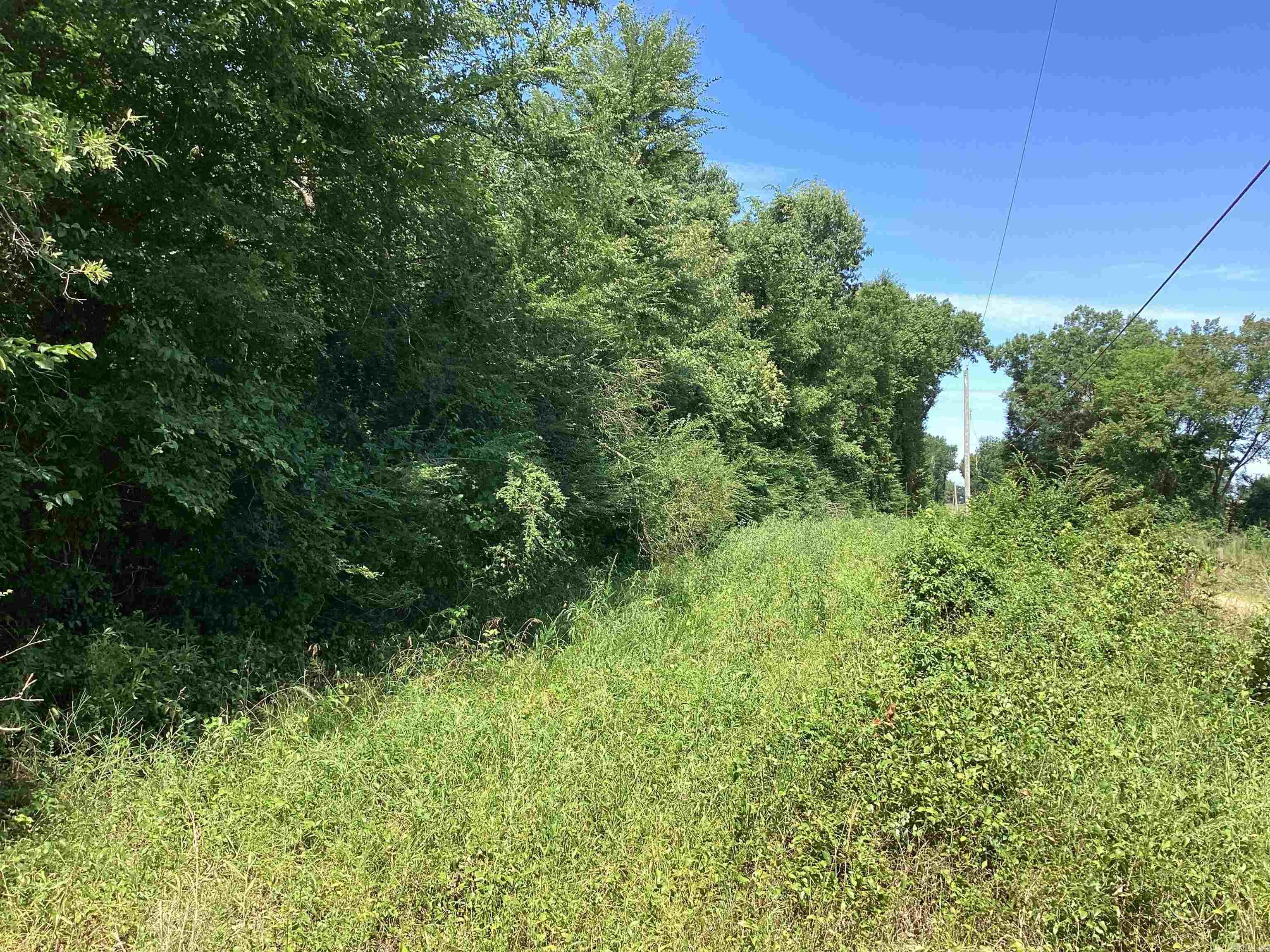 000 Hempstead 24  Blevins, AR