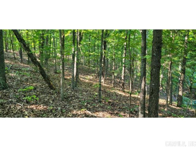 61 Barnes  Evening Shade, AR