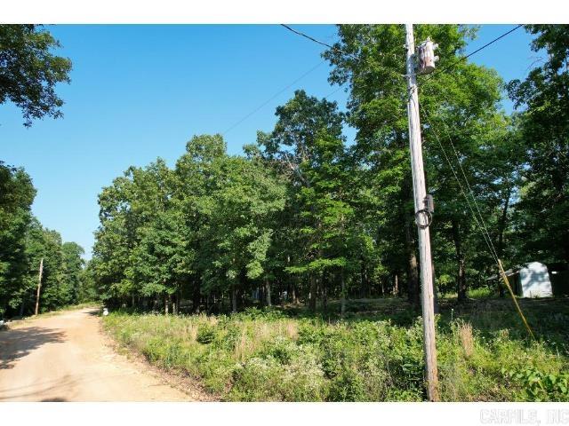 61 Barnes  Evening Shade, AR
