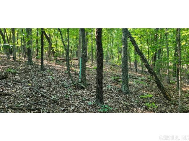 61 Barnes  Evening Shade, AR
