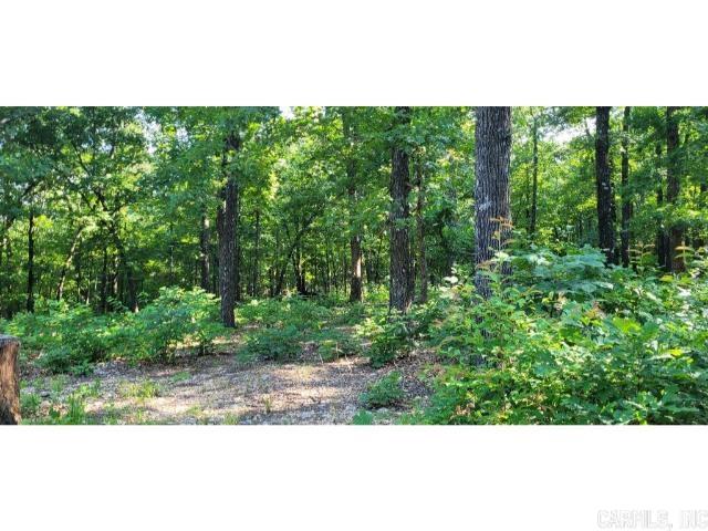 61 Barnes  Evening Shade, AR