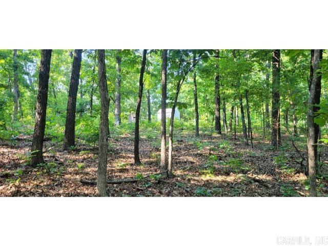 61 Barnes  Evening Shade, AR
