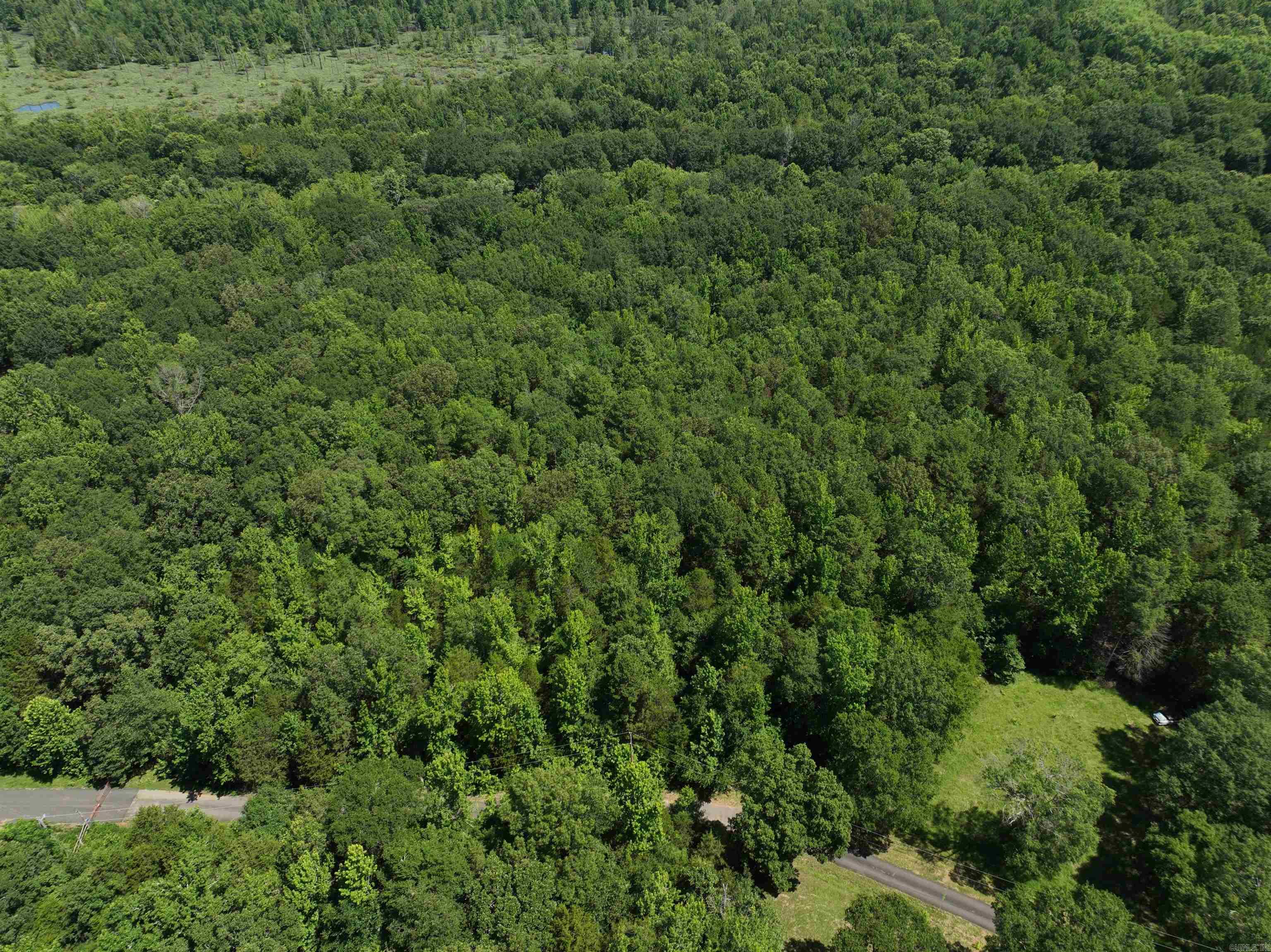 Tract 1 Waterside Drive  Conway, AR