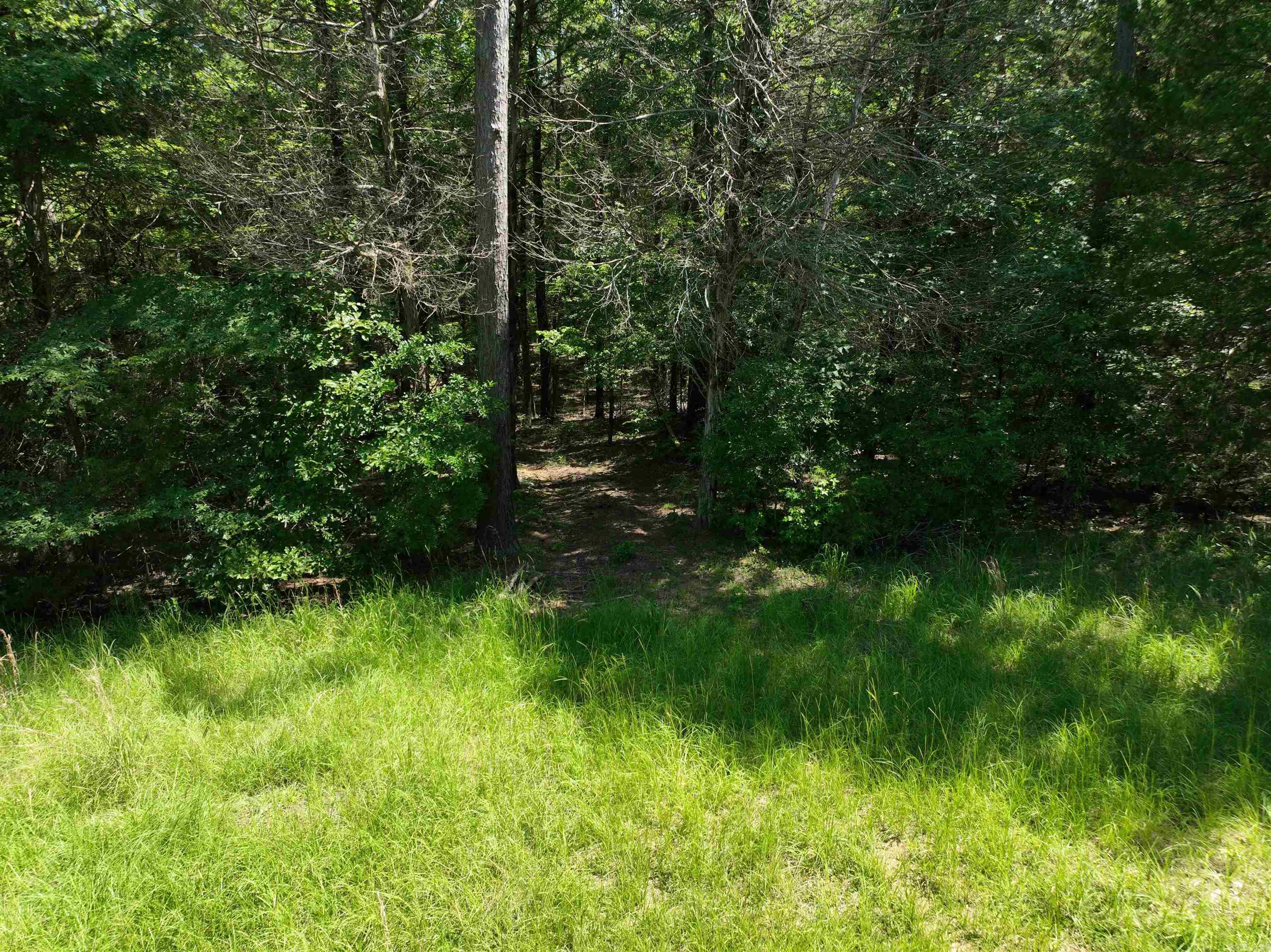 Tract 1 Waterside Drive  Conway, AR