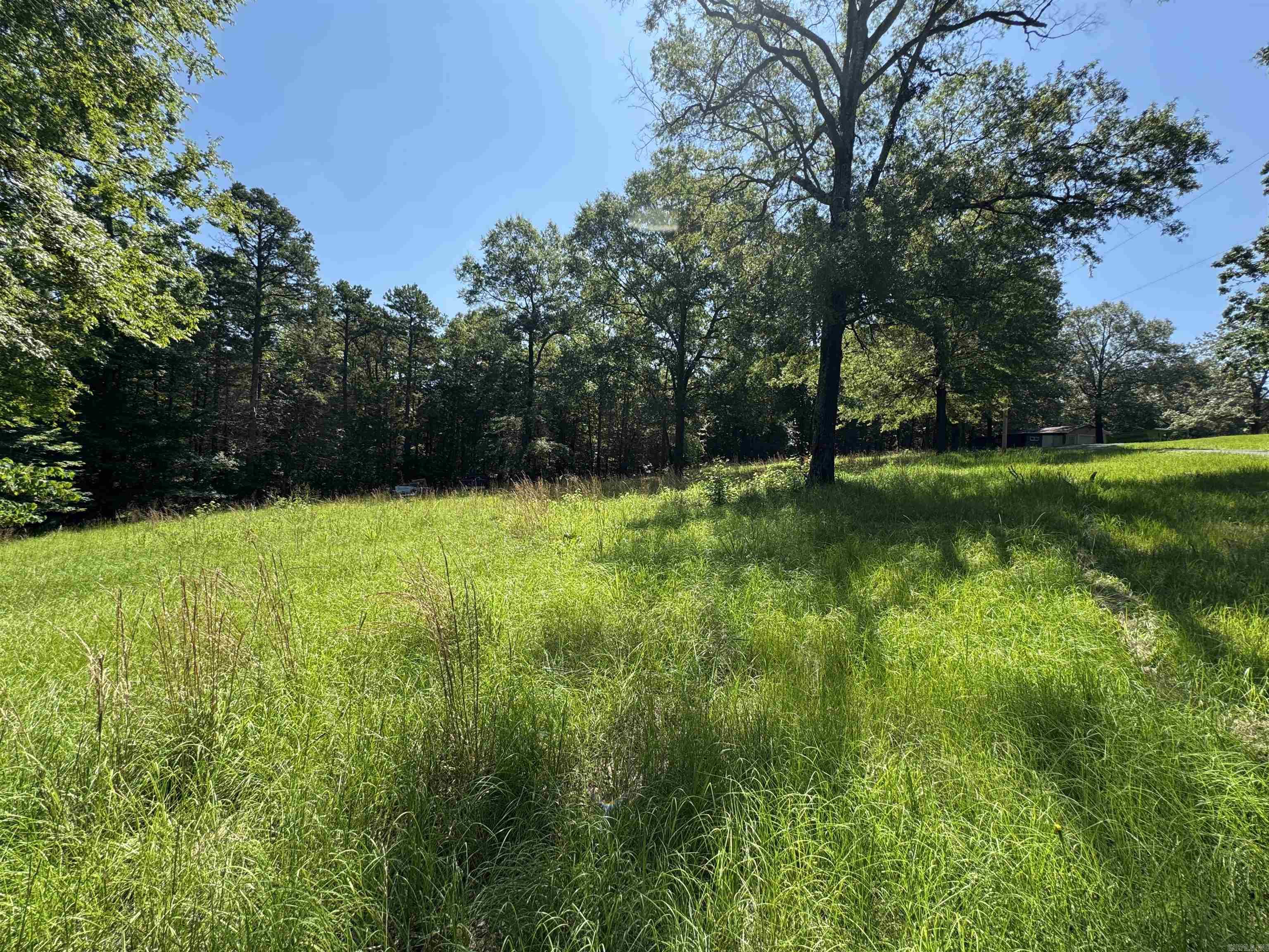 Tract 1 Waterside Drive  Conway, AR