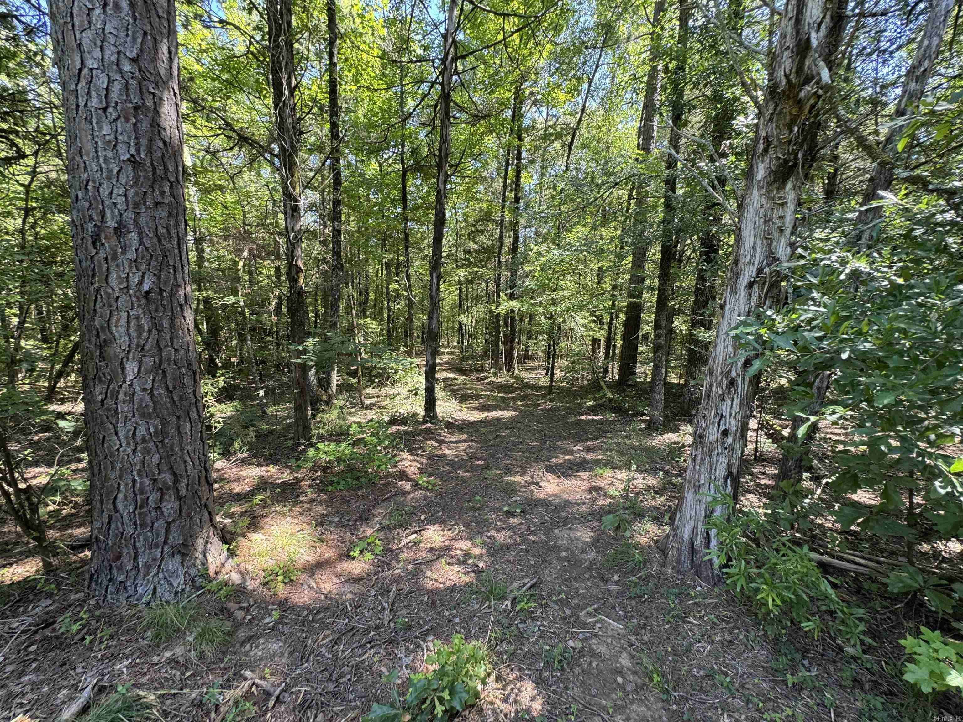 Tract 1 Waterside Drive  Conway, AR