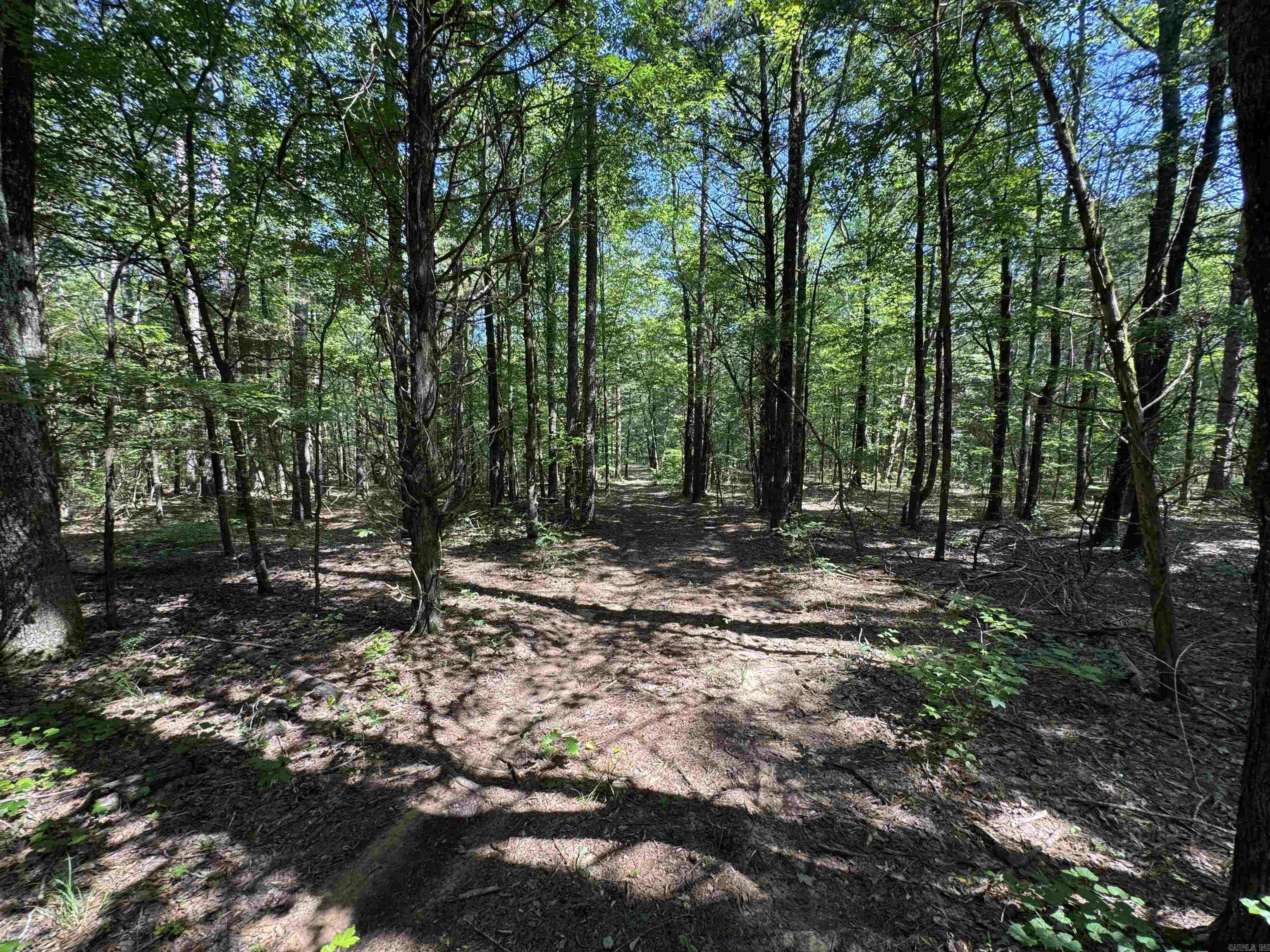 Tract 1 Waterside Drive  Conway, AR