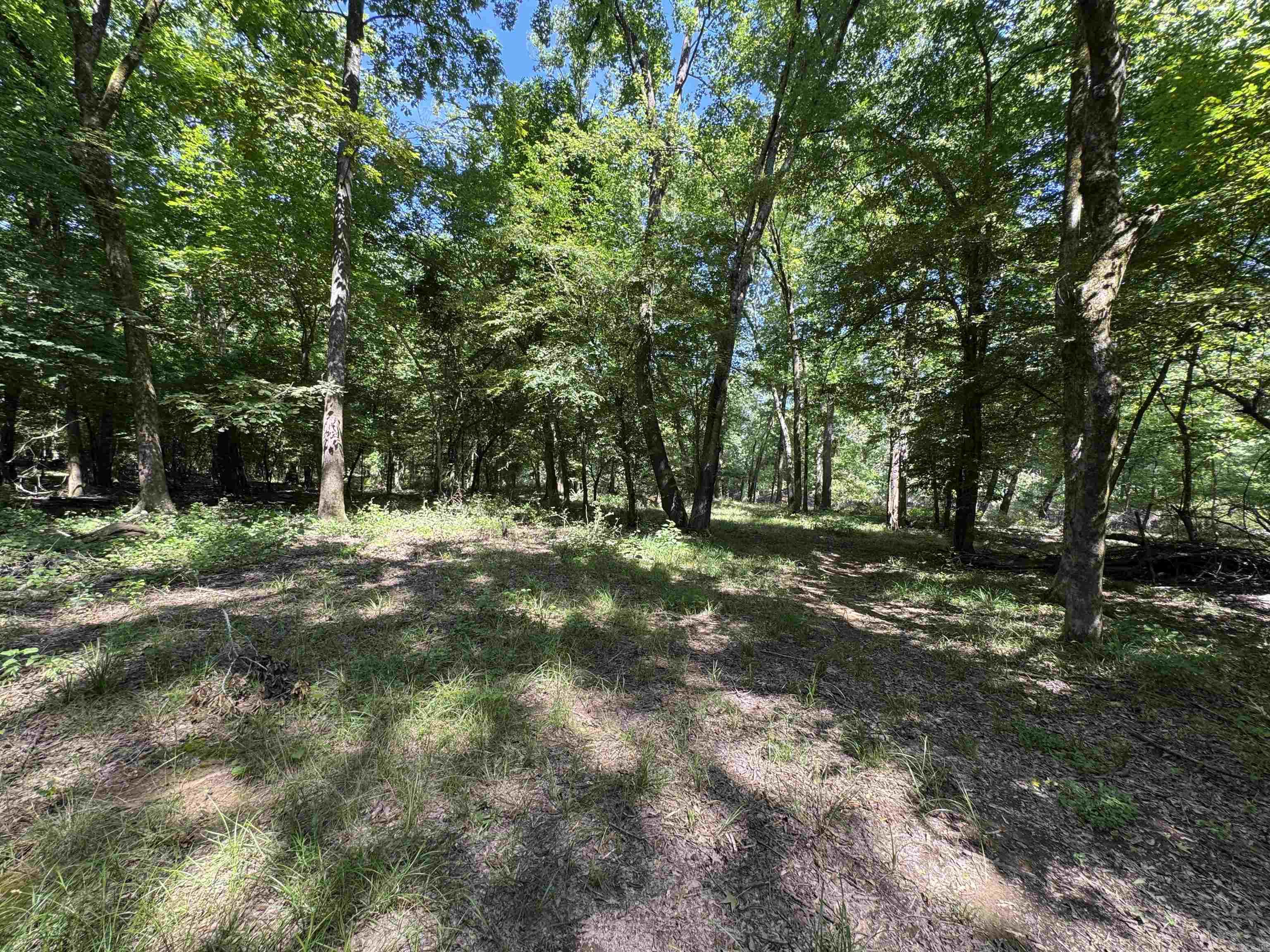 Tract 1 Waterside Drive  Conway, AR