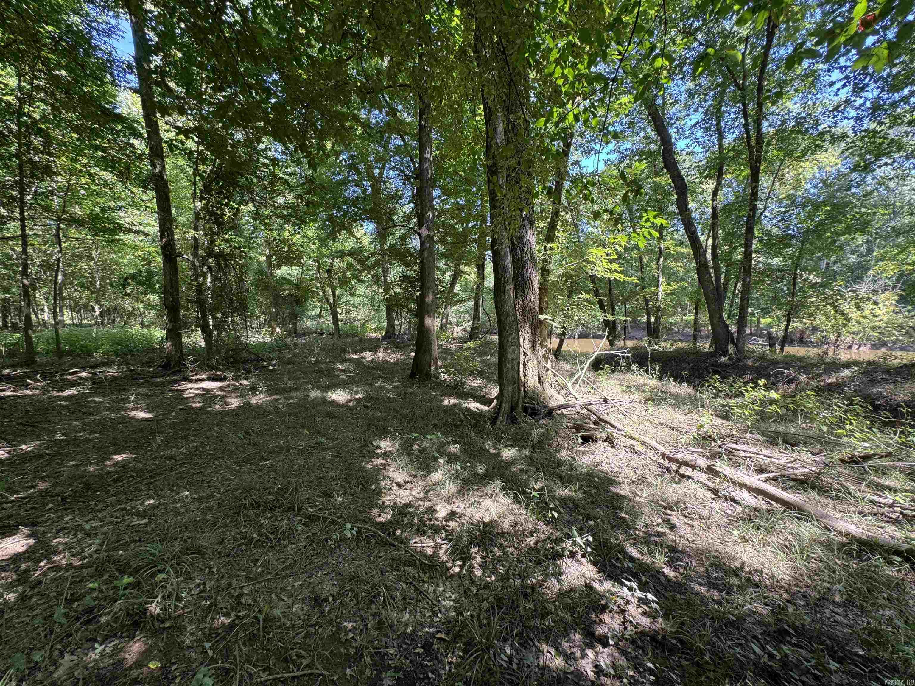 Tract 1 Waterside Drive  Conway, AR