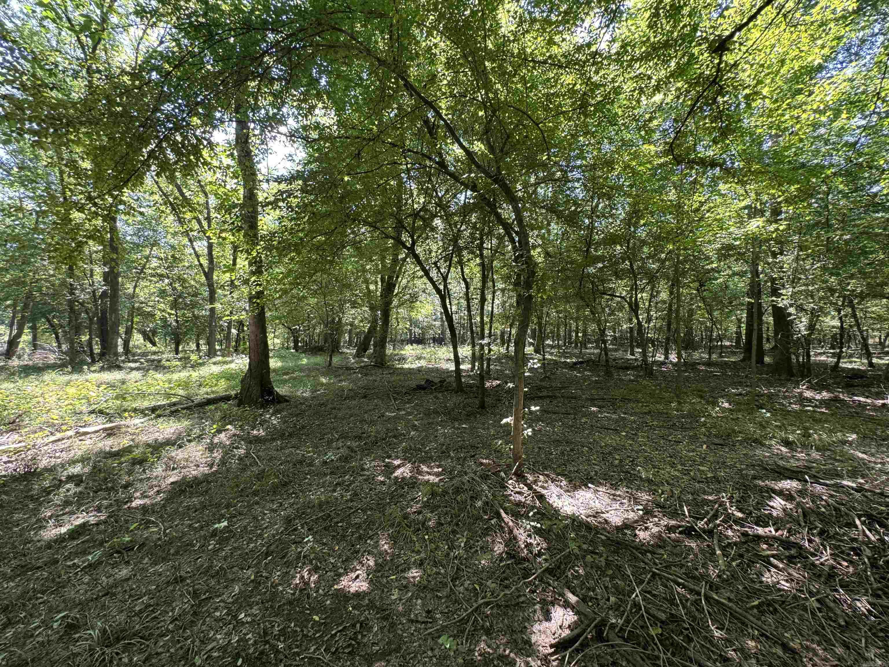 Tract 1 Waterside Drive  Conway, AR