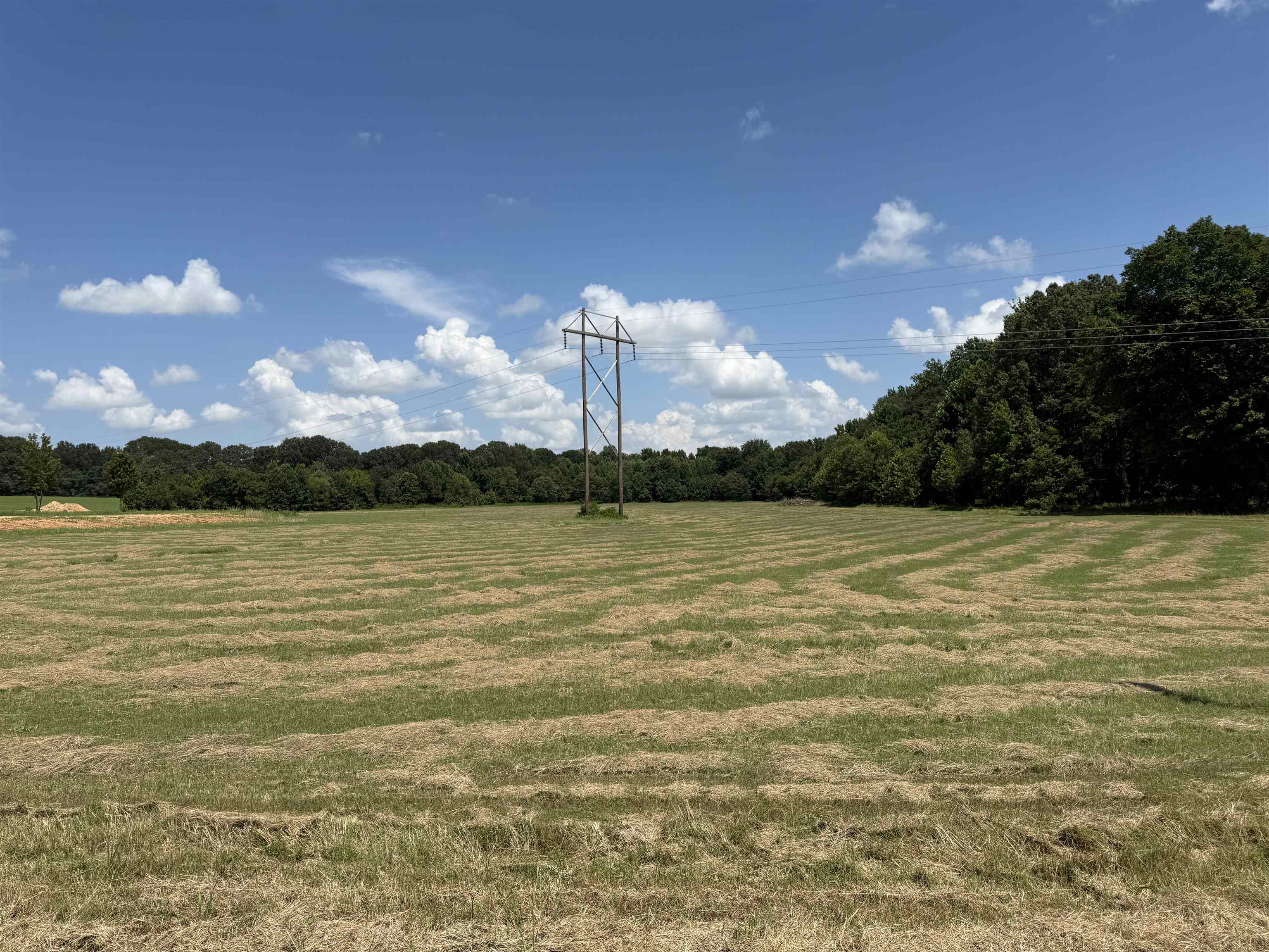 000 GREENE 726 ROAD  Paragould, AR