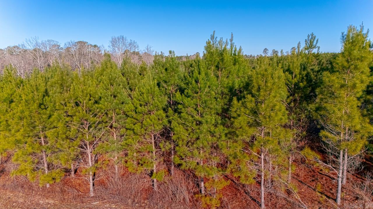 Lot 6 Oilwell  Traskwood, AR