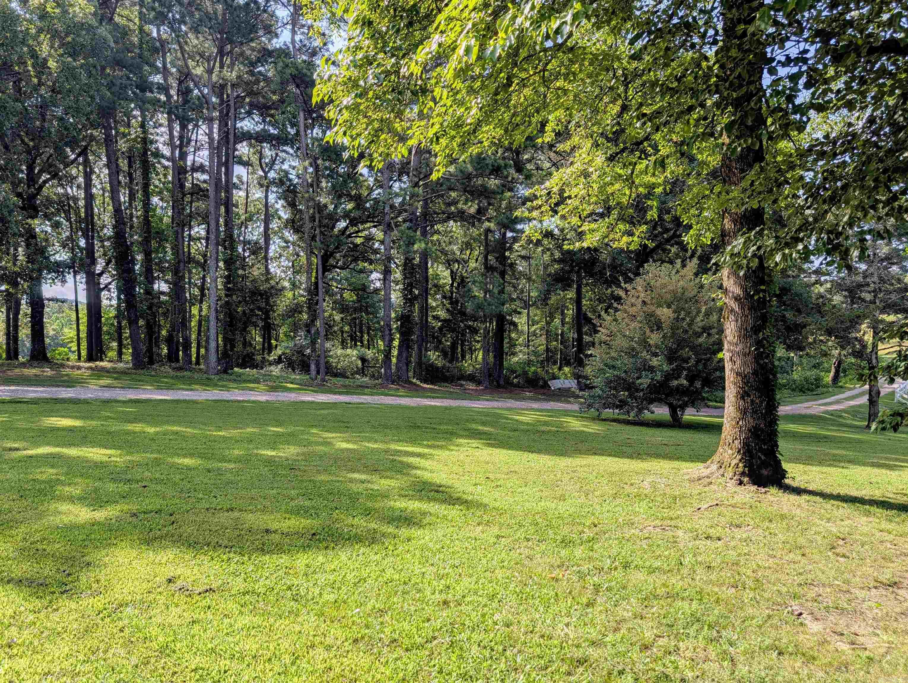 264 Polk Road 16 Cove, AR 71937