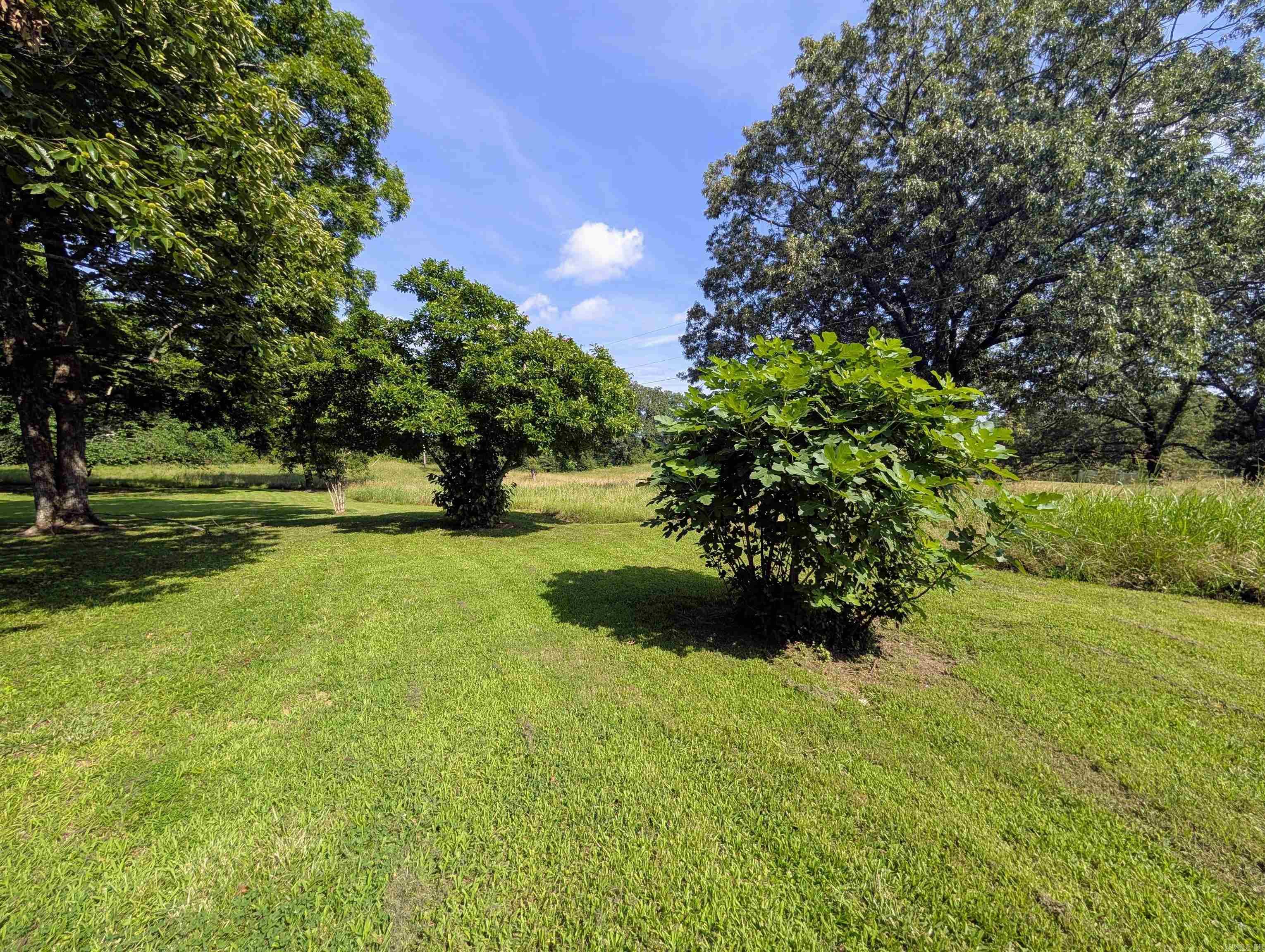 264 Polk Road 16 Cove, AR 71937