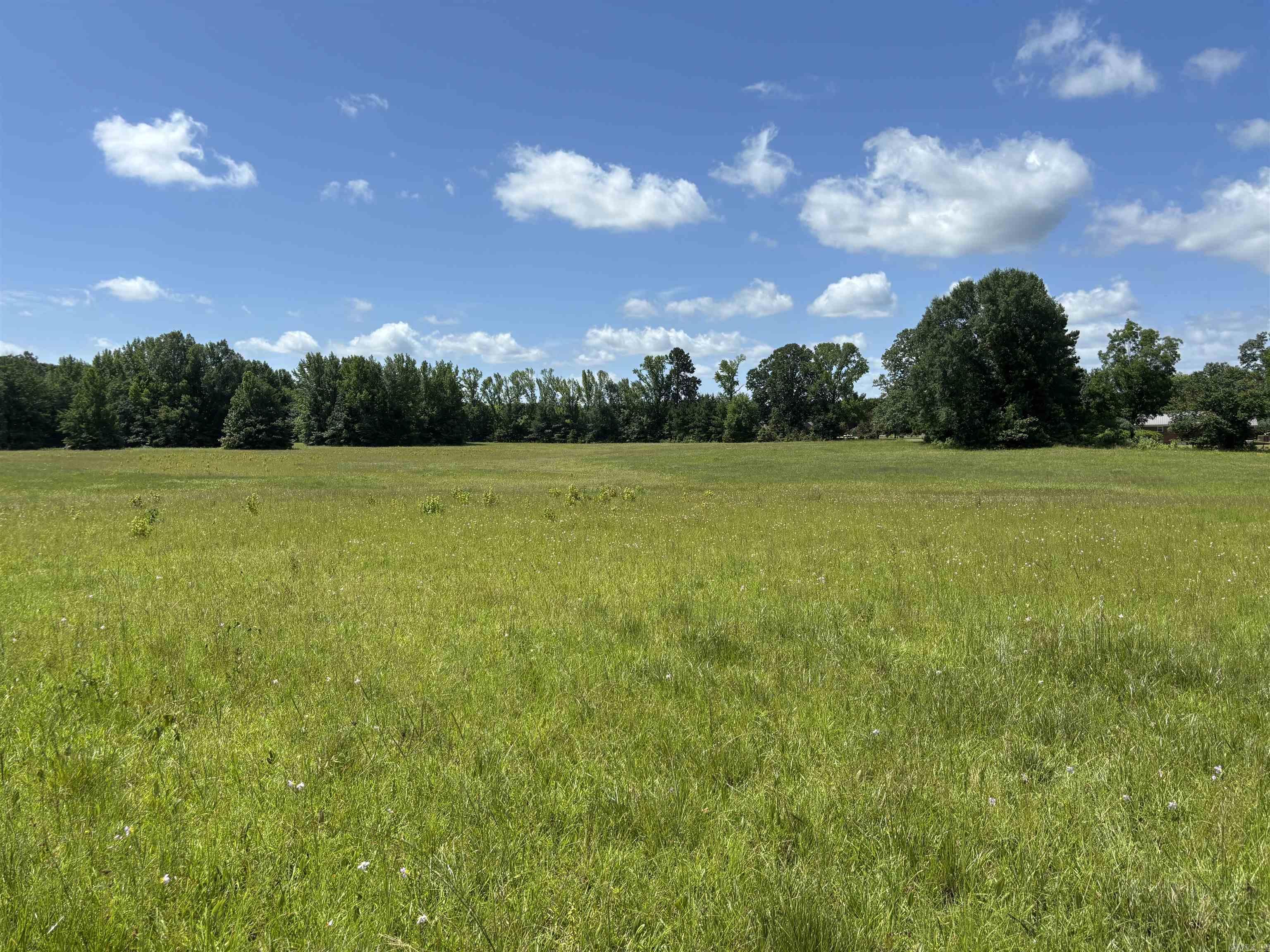 0 Highway 46 and Grant 8 (Tract B)
