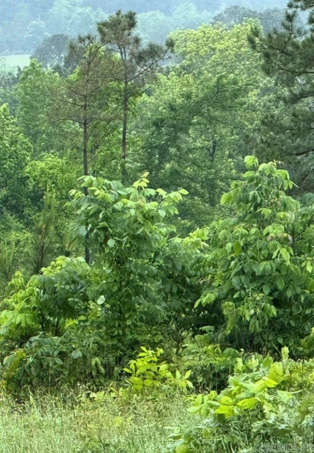 300 Block Angel  Amity, AR