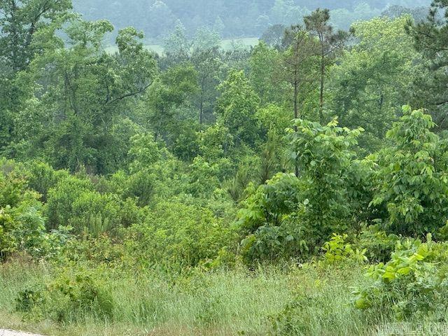 300 Block Angel  Amity, AR
