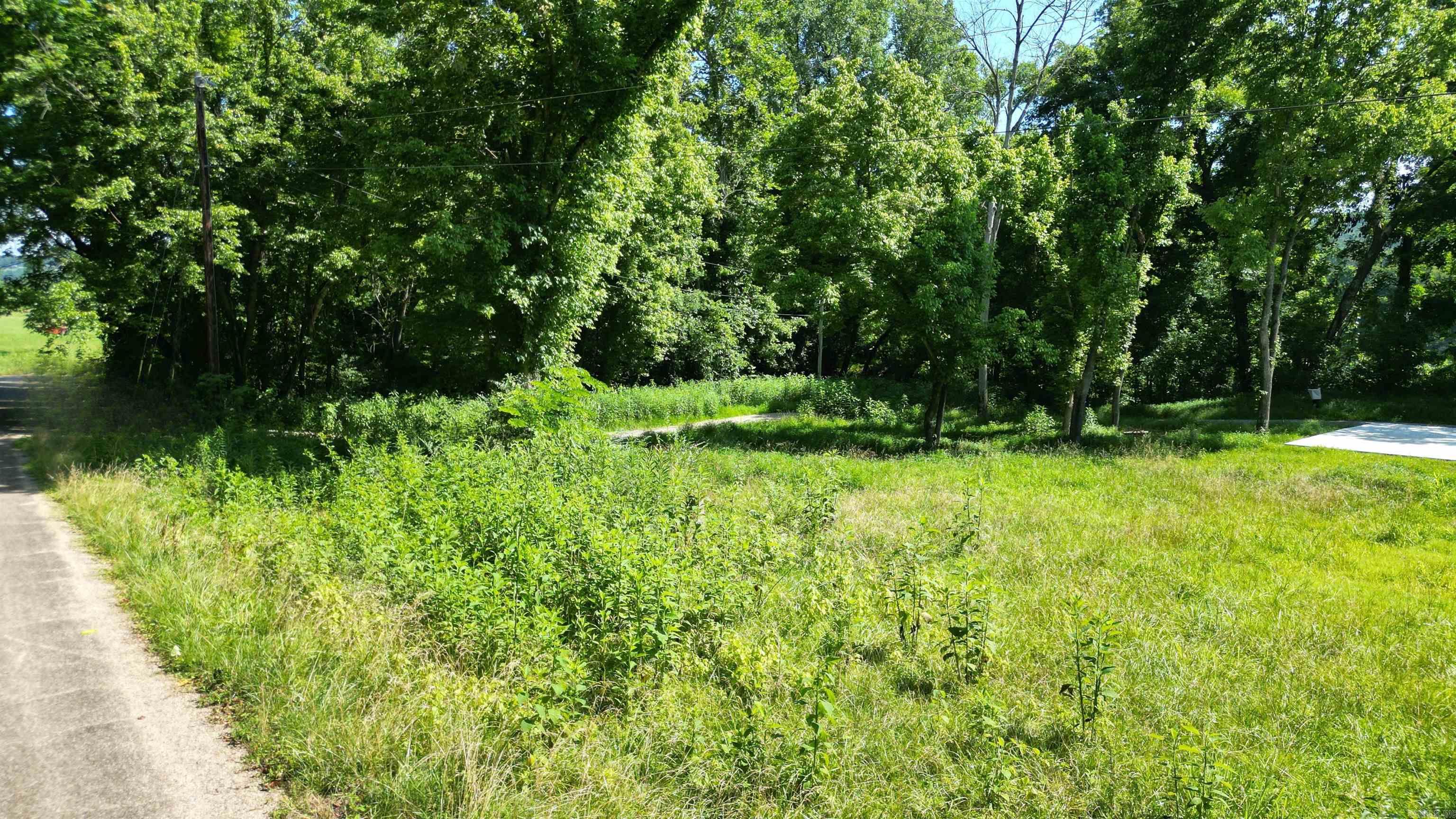 1566 Riverview Drive  Norfork, AR