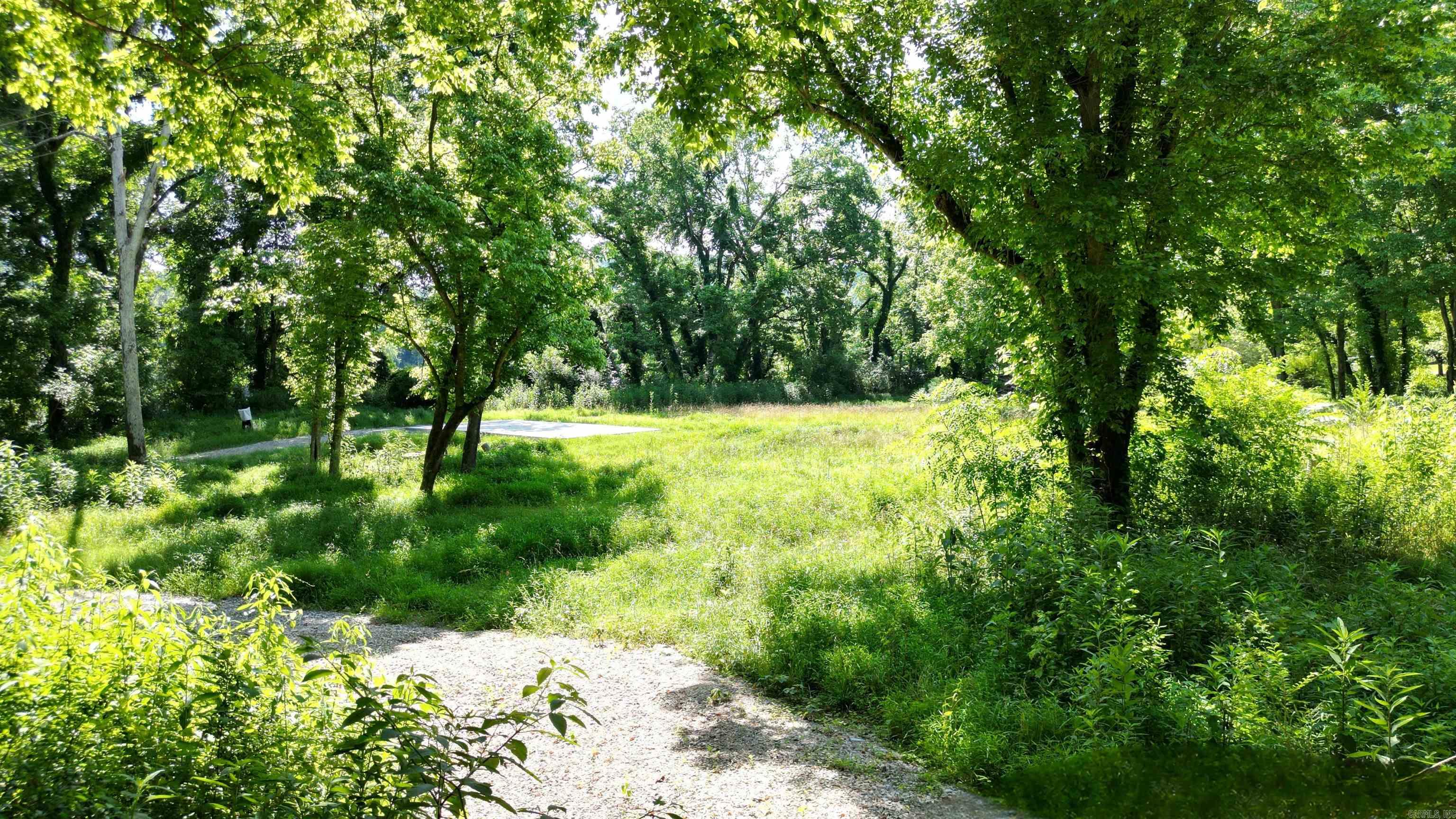 1566 Riverview Drive  Norfork, AR