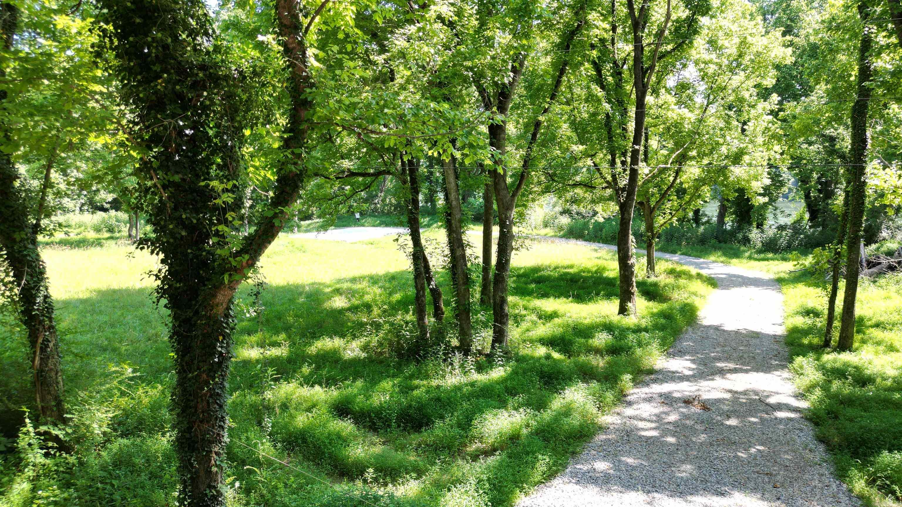 1566 Riverview Drive  Norfork, AR