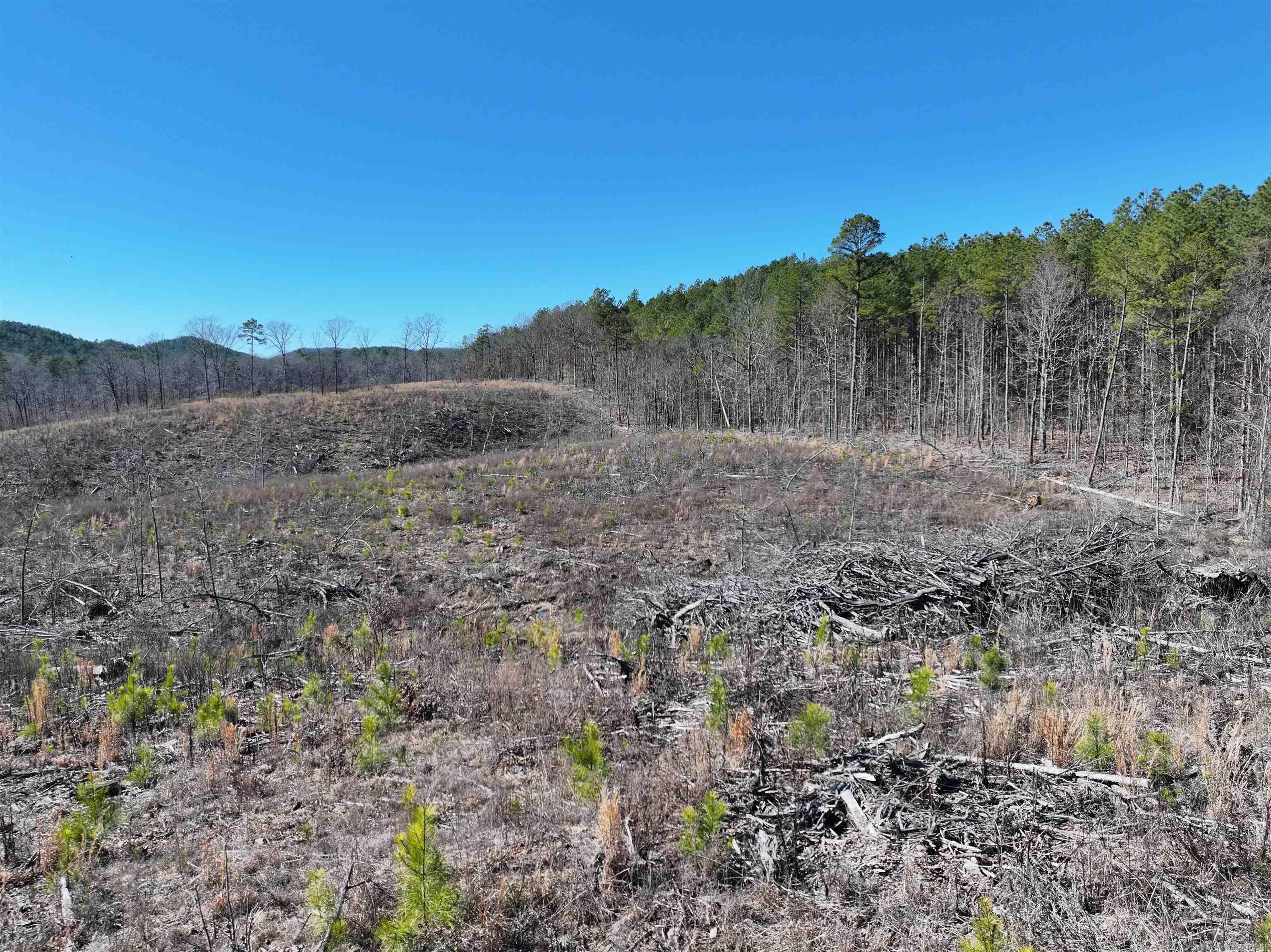 TBD Weyco Road  Hatton, AR
