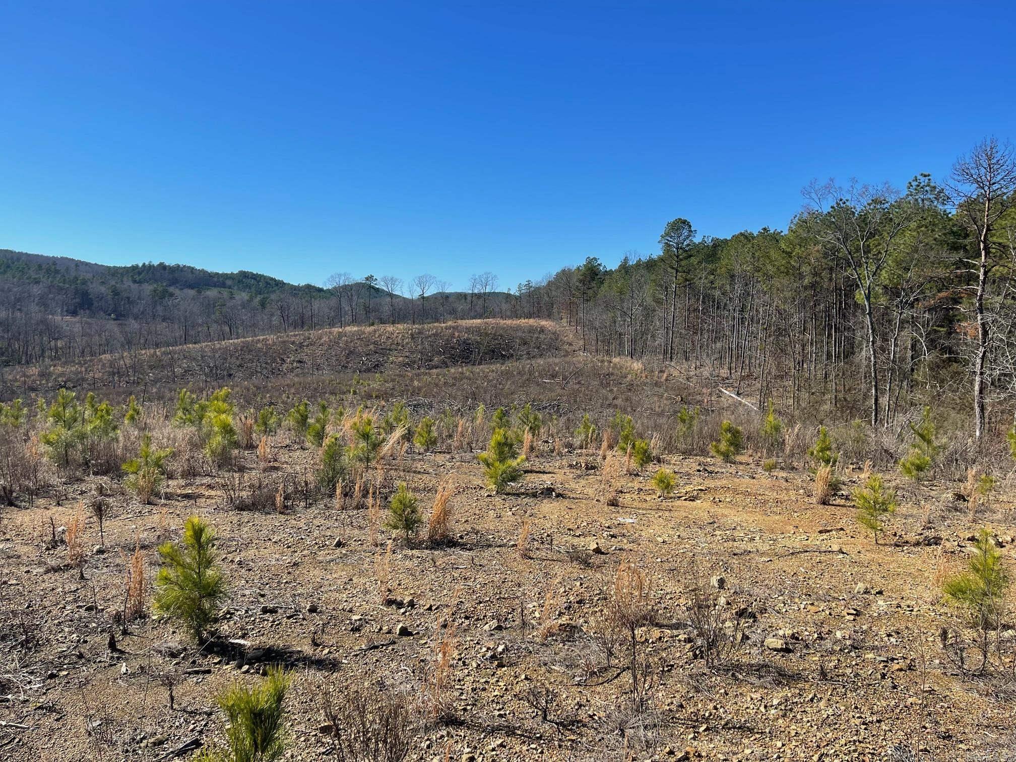 TBD Weyco Road  Hatton, AR