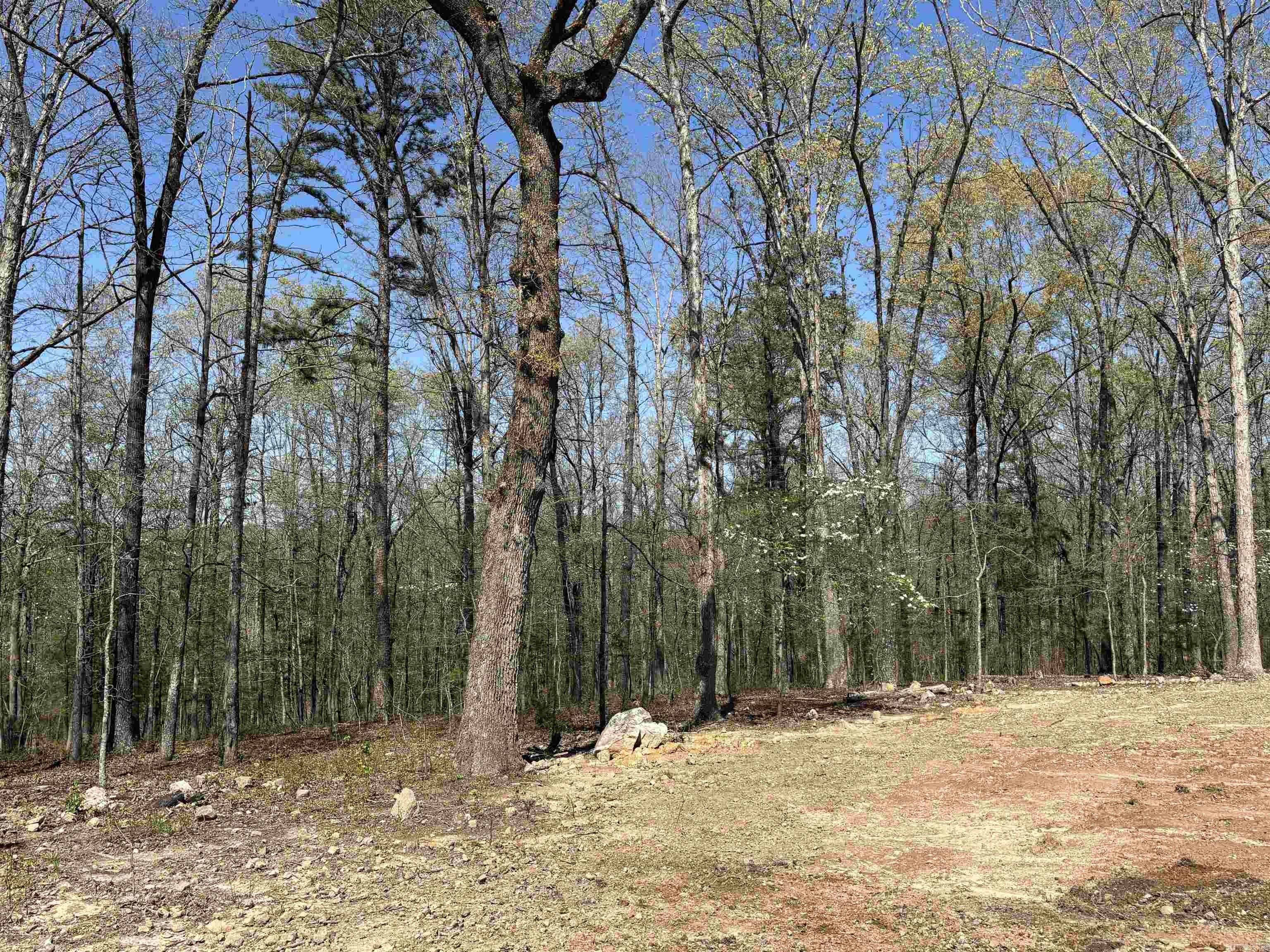 1562 US Hwy 167  Evening Shade, AR